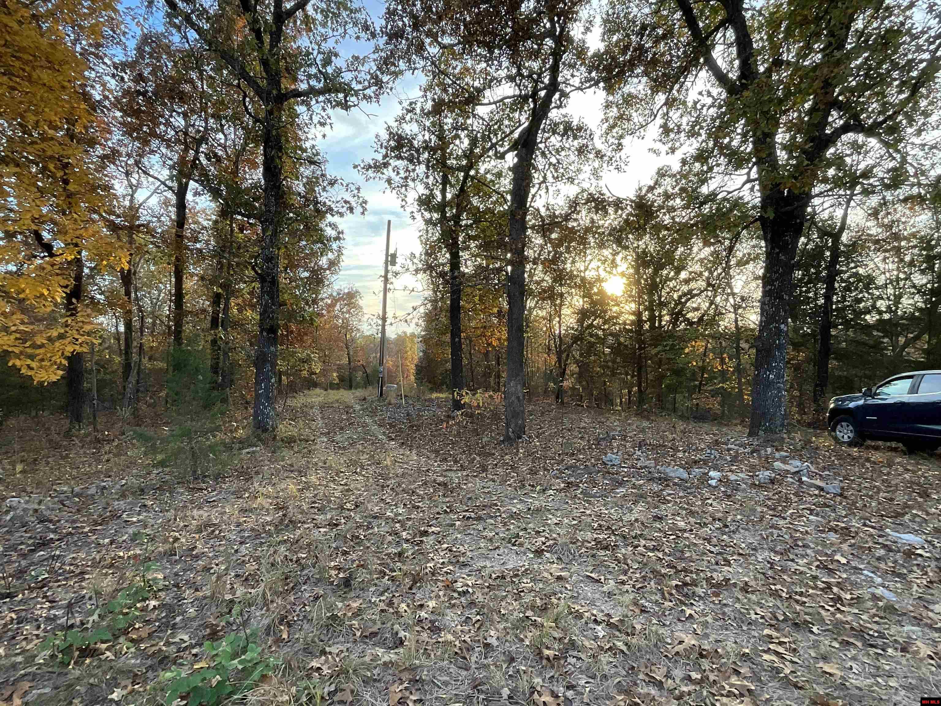 180111000000001 LEDBETTER HOLLOW Theodosia, MO