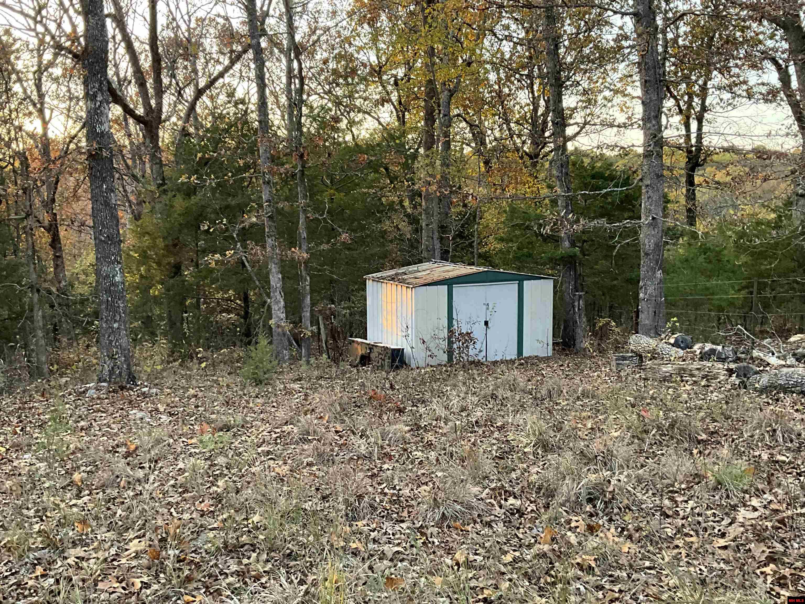 180111000000001 LEDBETTER HOLLOW Theodosia, MO