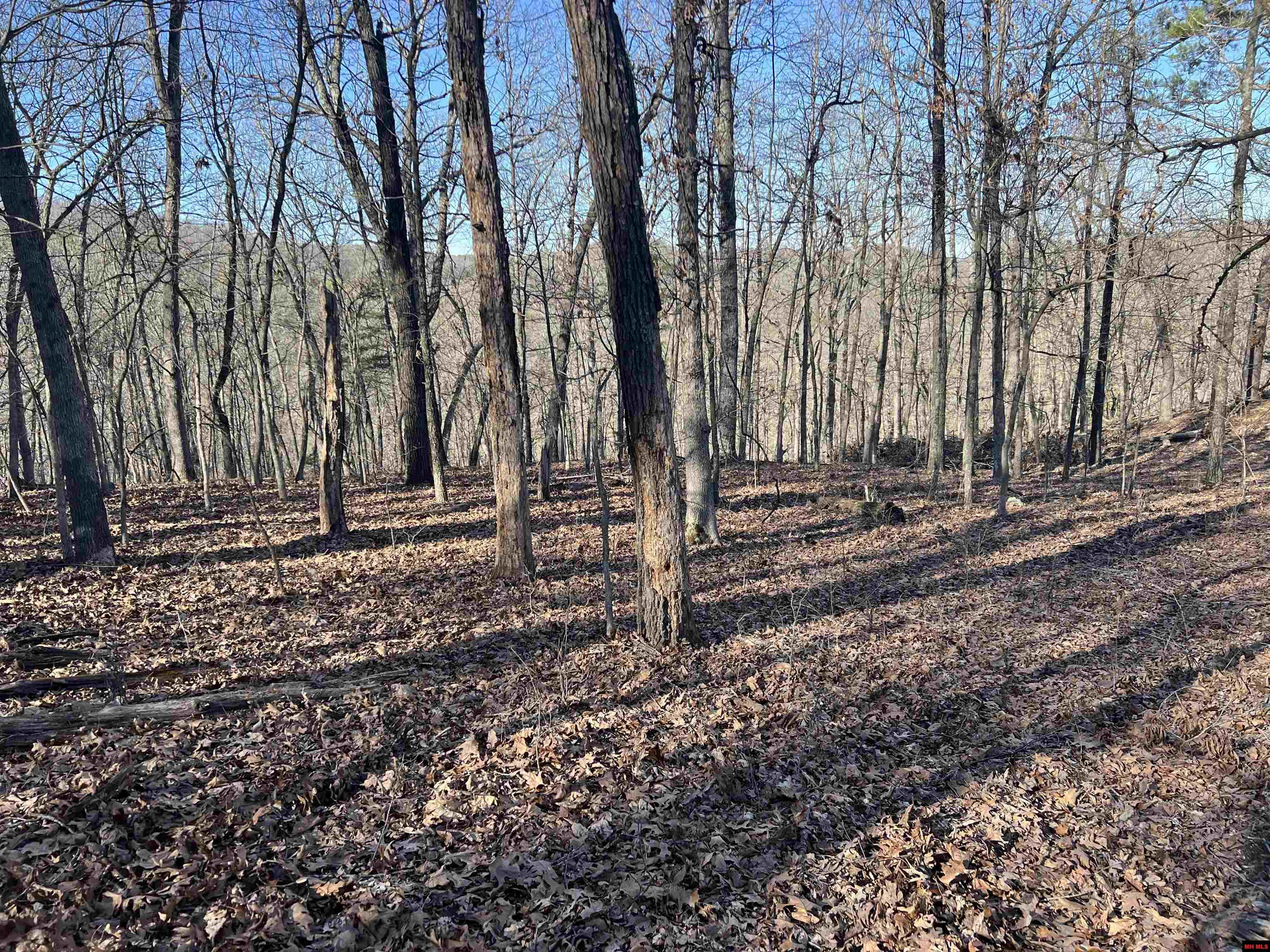 MC 8060 Yellville, AR 72687