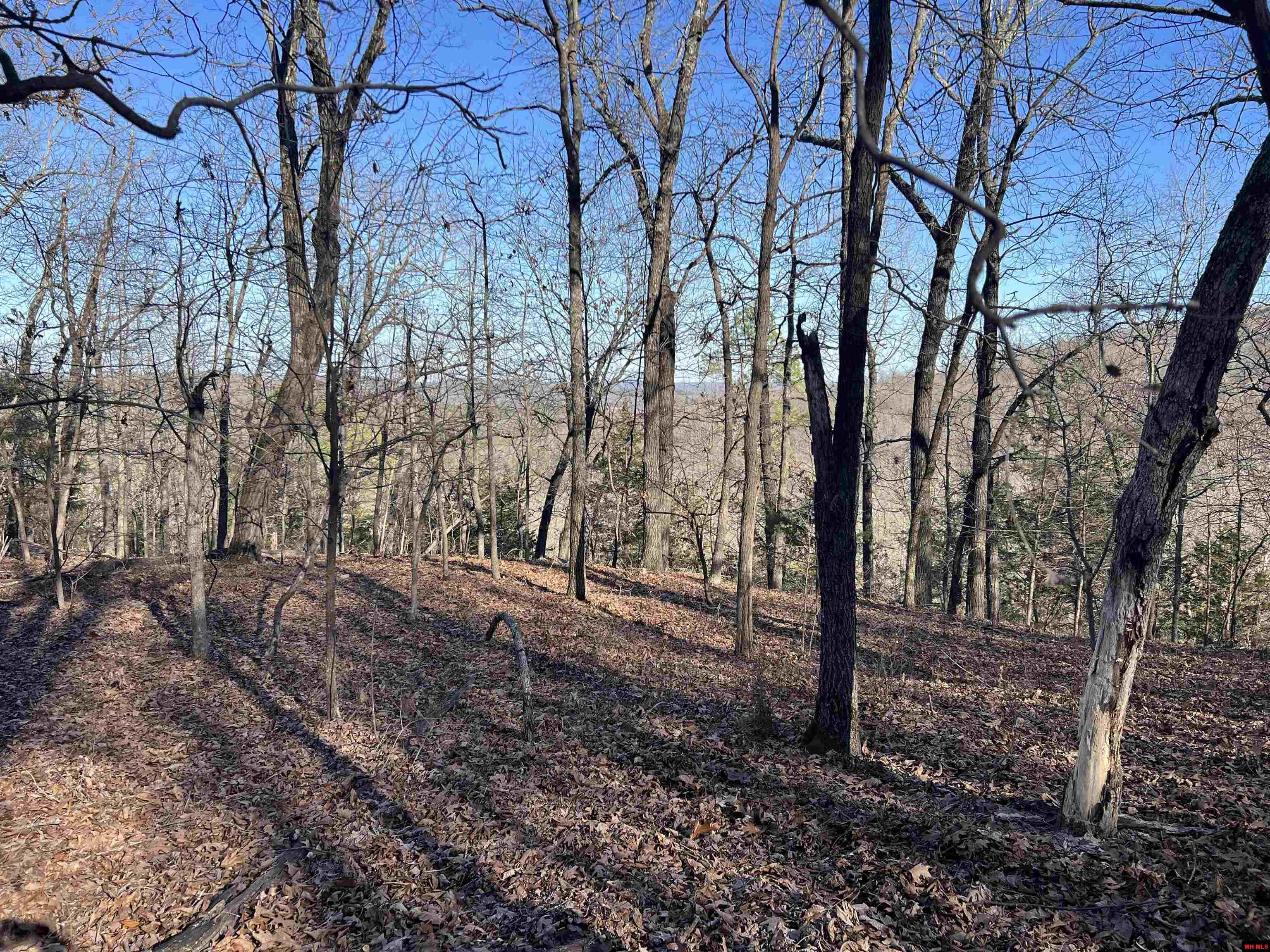 MC 8060 Yellville, AR 72687