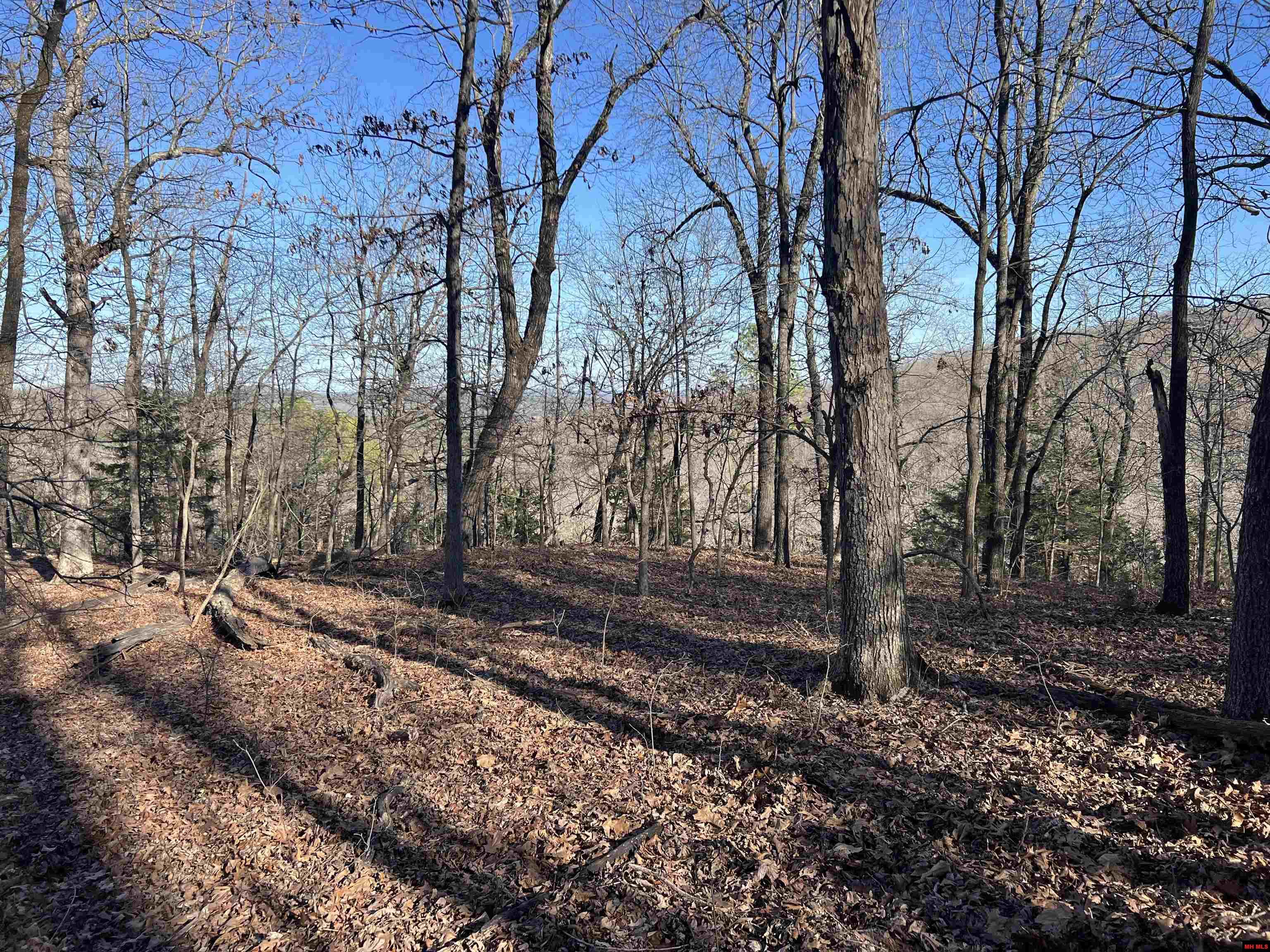 MC 8060 Yellville, AR 72687