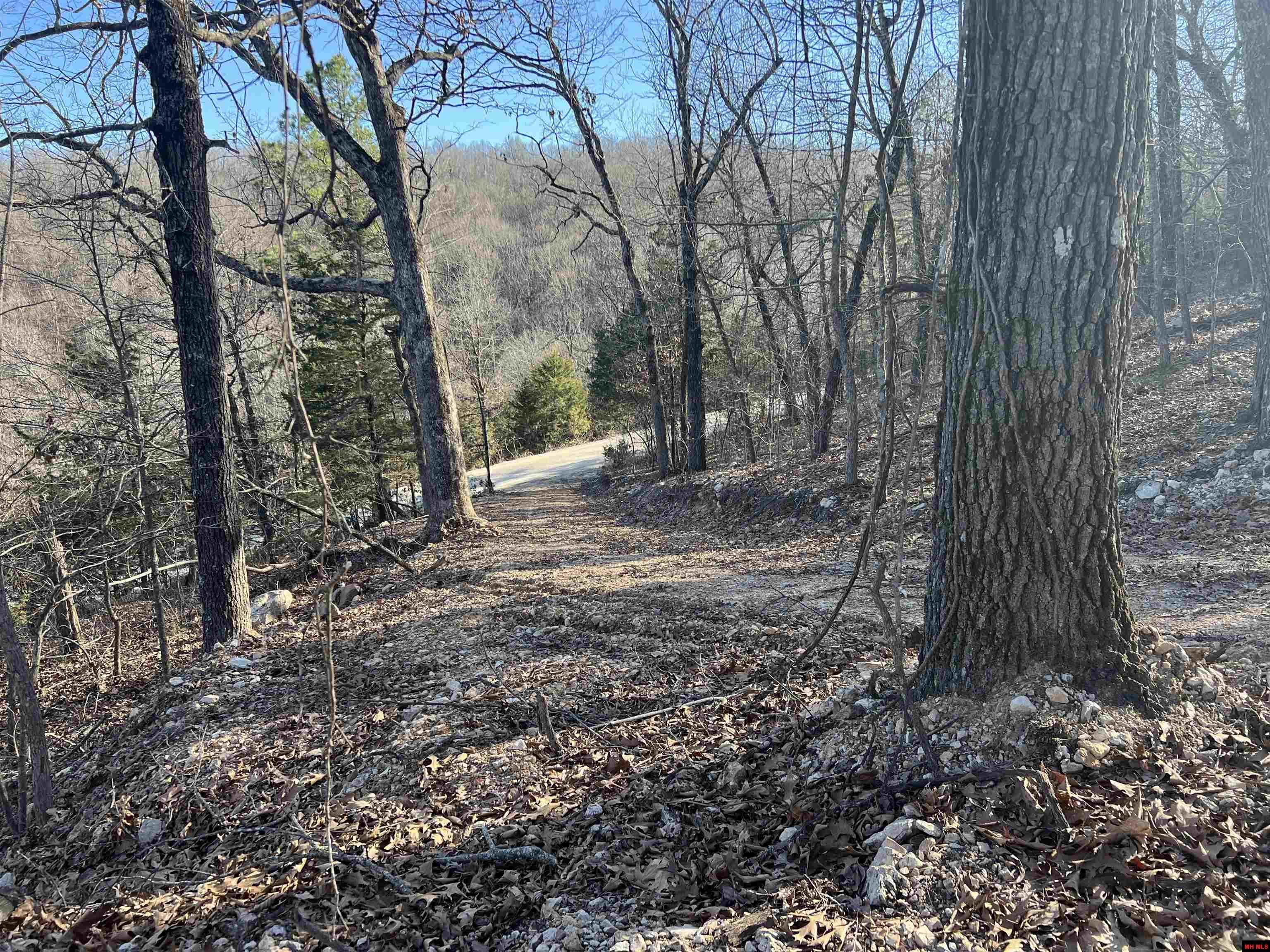 MC 8060 Yellville, AR 72687