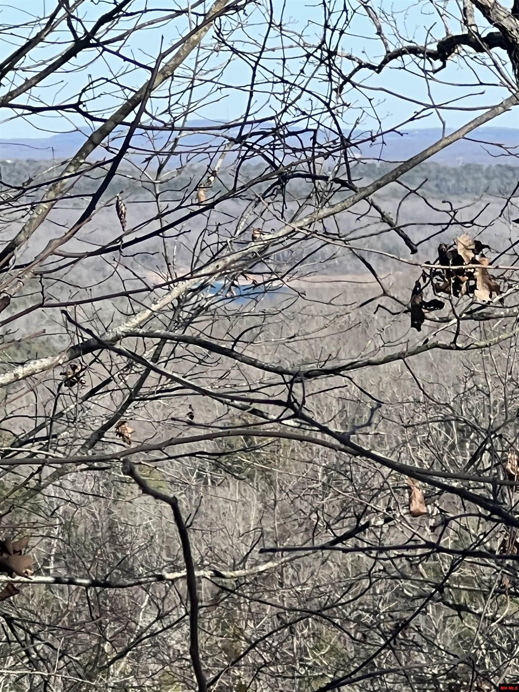 MC 8060 Yellville, AR 72687