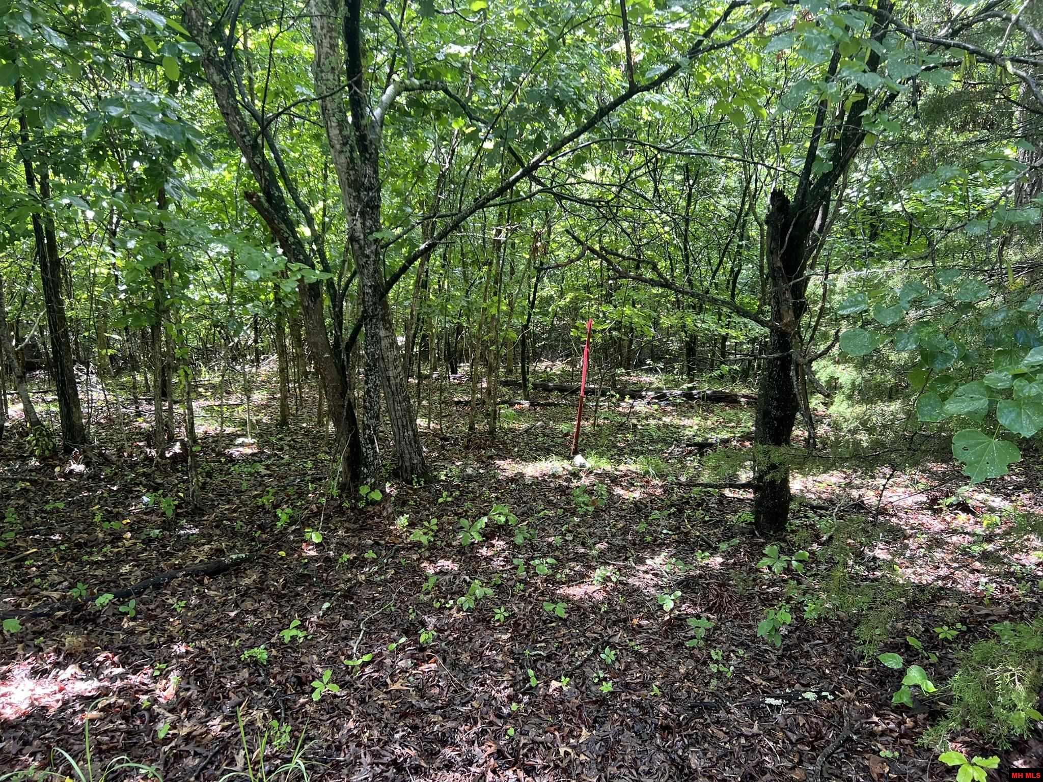 006-02993-000 HWY 178 Lakeview, AR 72642