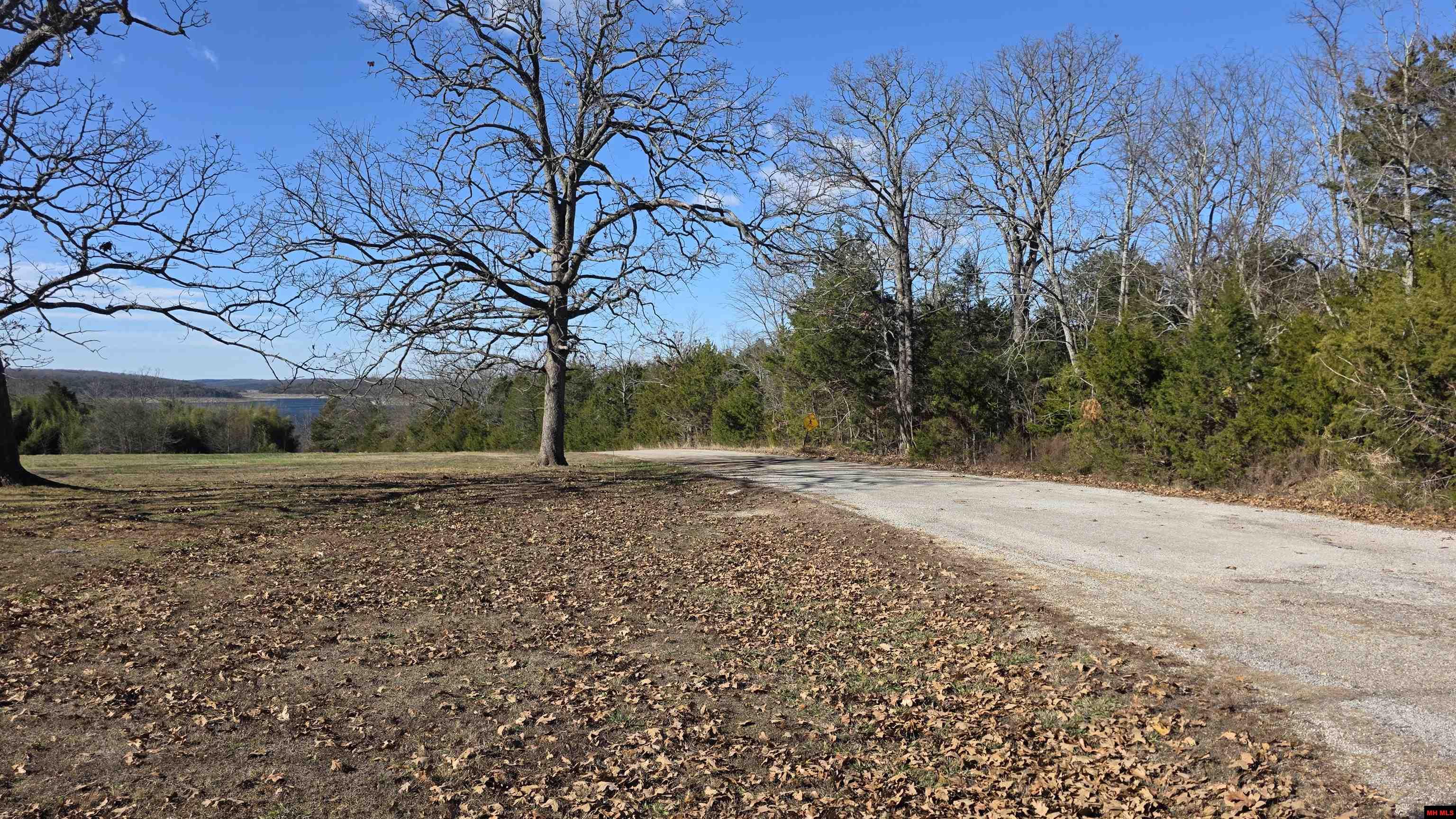 001-06542-000 MC 8004 Yellville, AR 72687