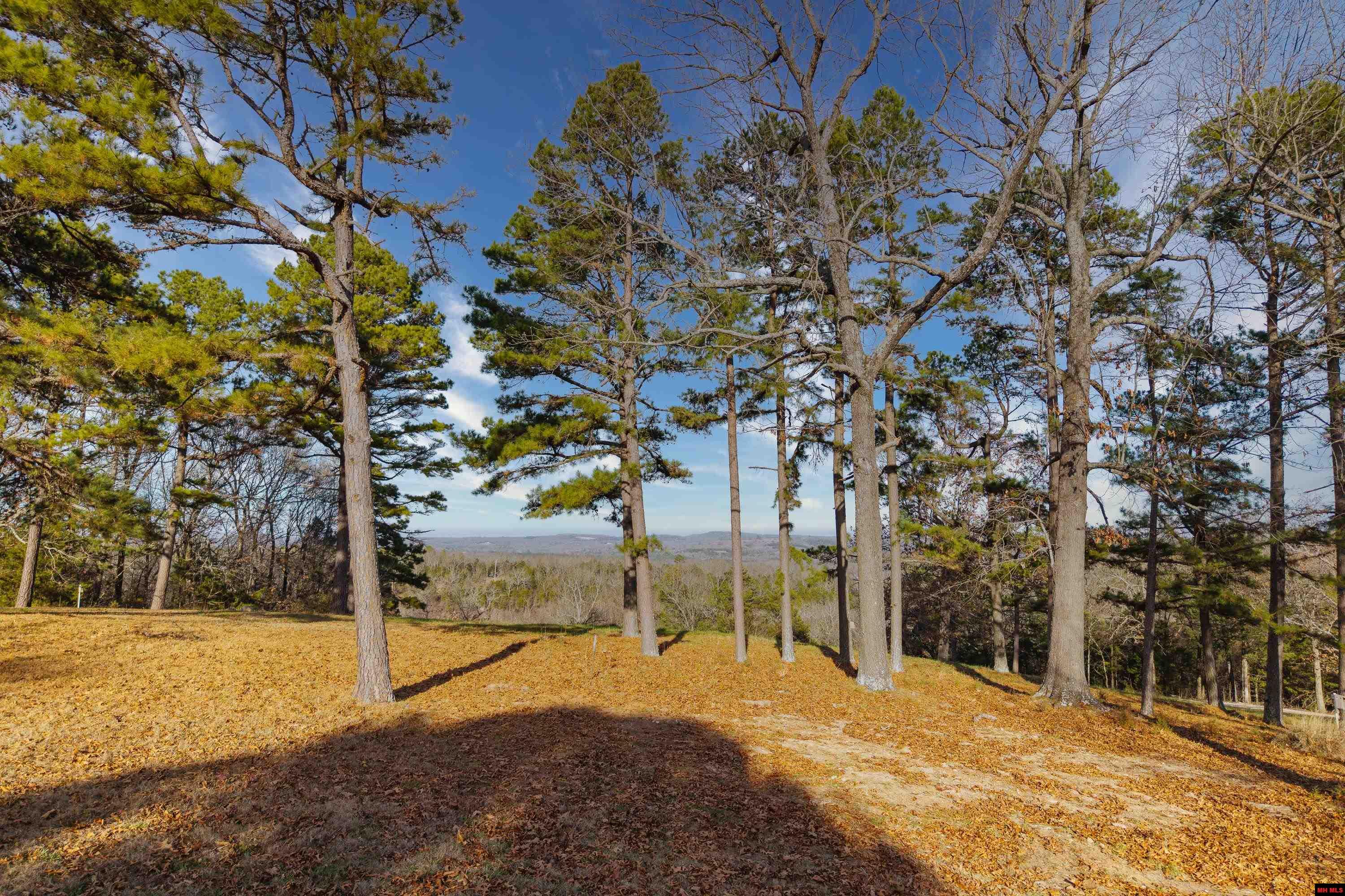 899 HIGH COUNTRY LANE Mountain Home, AR