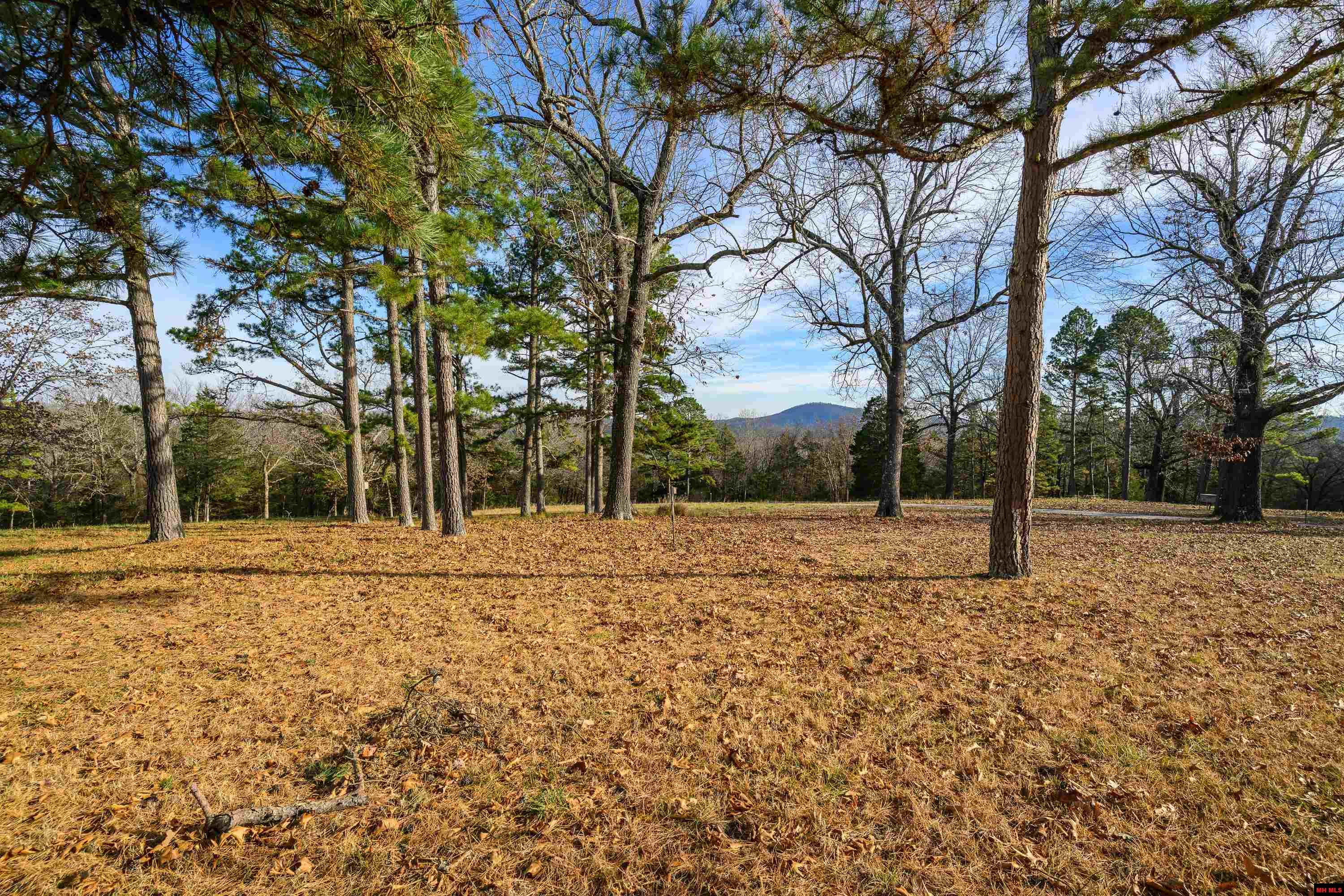 899 HIGH COUNTRY LANE Mountain Home, AR