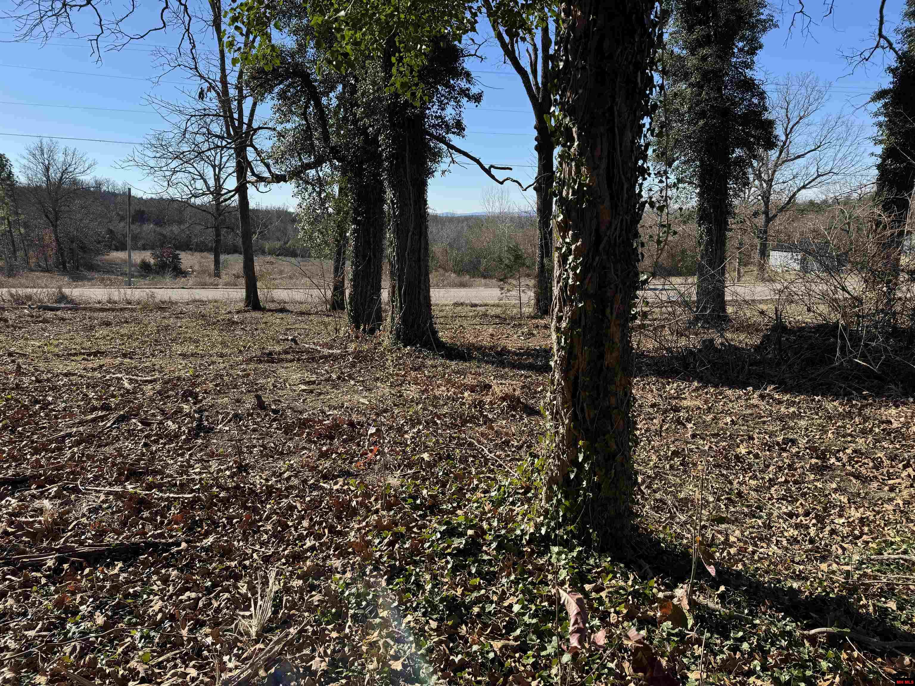 2945 HWY 5 NORTH Mountain Home, AR