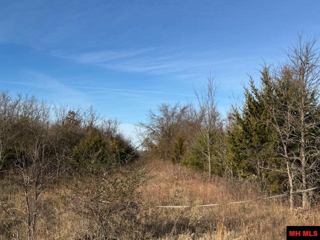 001-07841-000 HWY 5 NORTH Mountain Home, AR