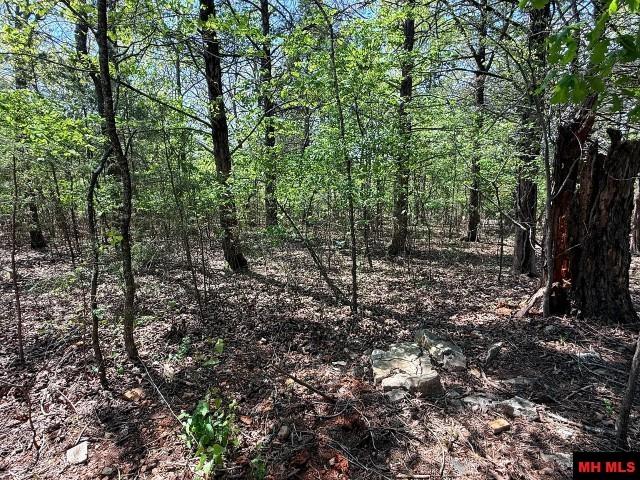 2532 JORDAN LANDING ROAD Jordan, AR