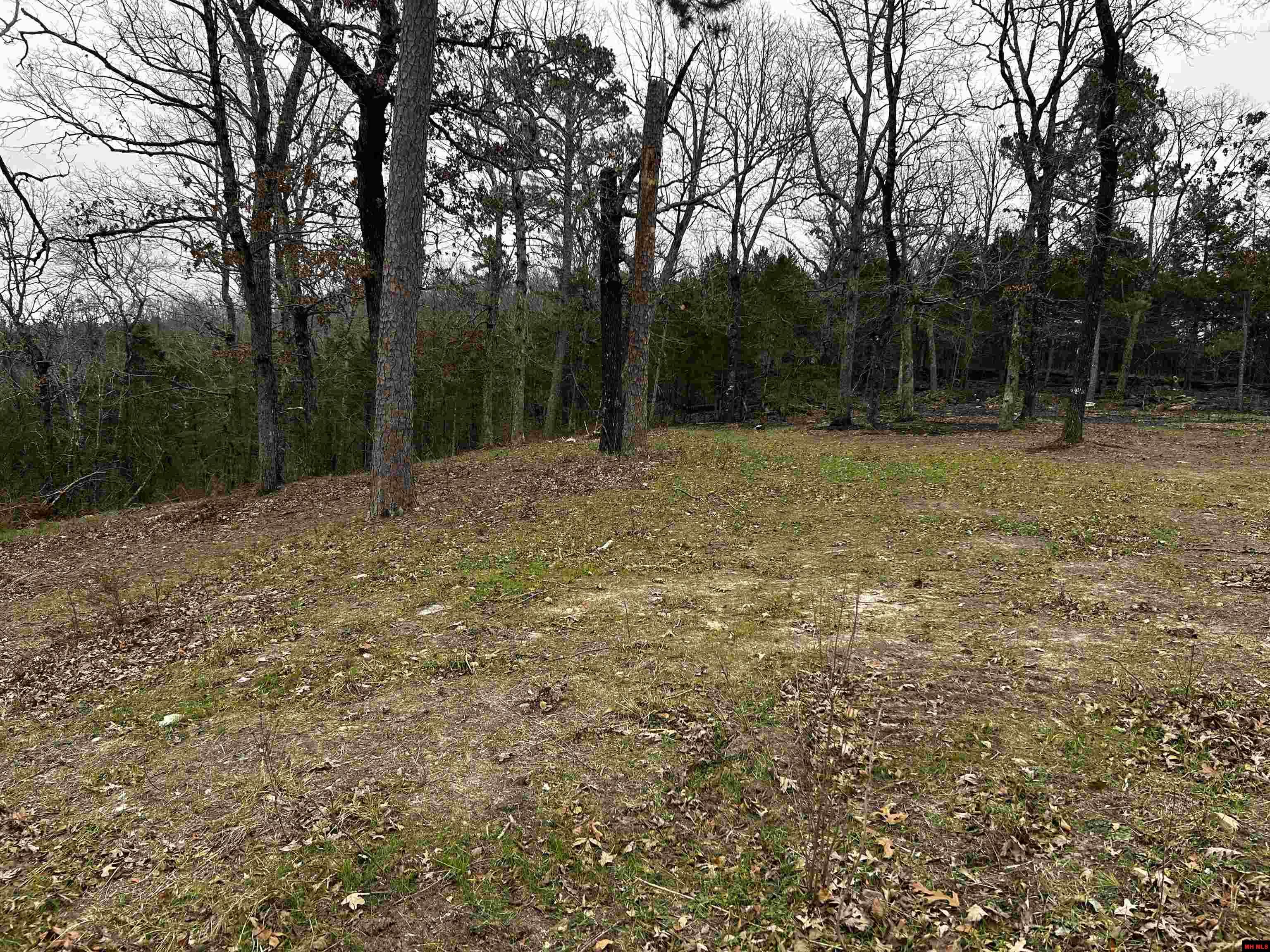 6895 JUMBO ROAD Melbourne, AR