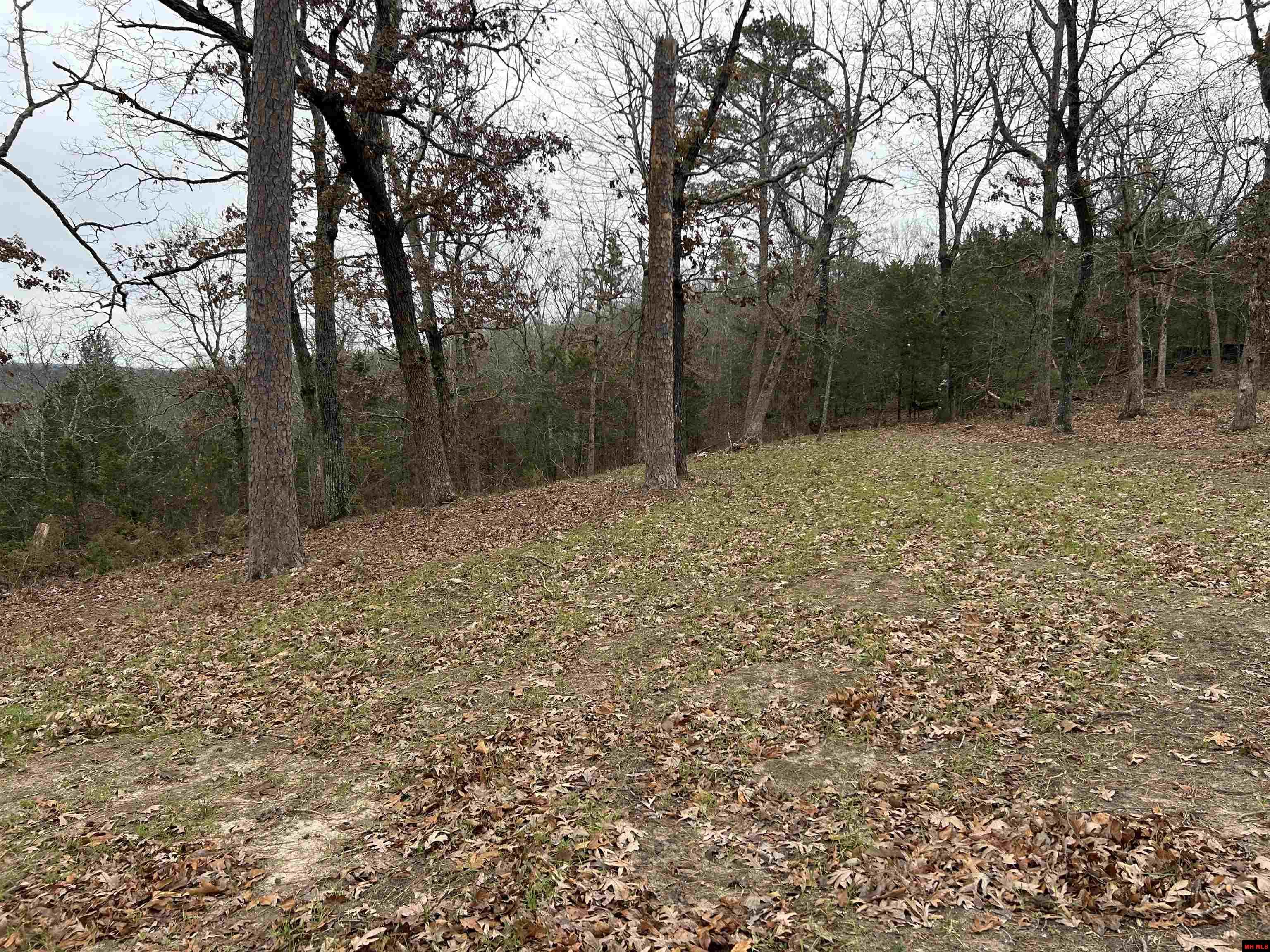 6895 JUMBO ROAD Melbourne, AR