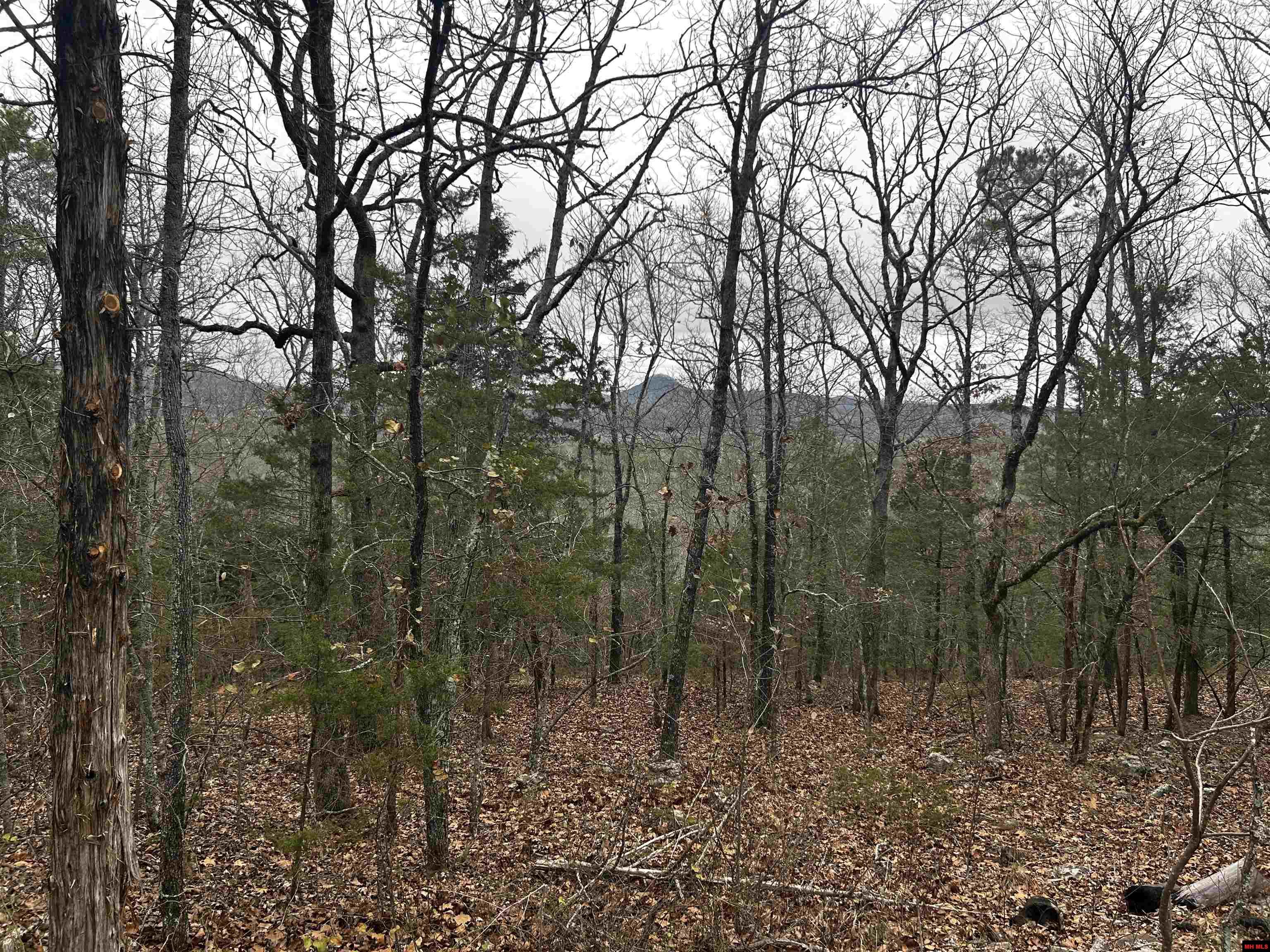 6895 JUMBO ROAD Melbourne, AR