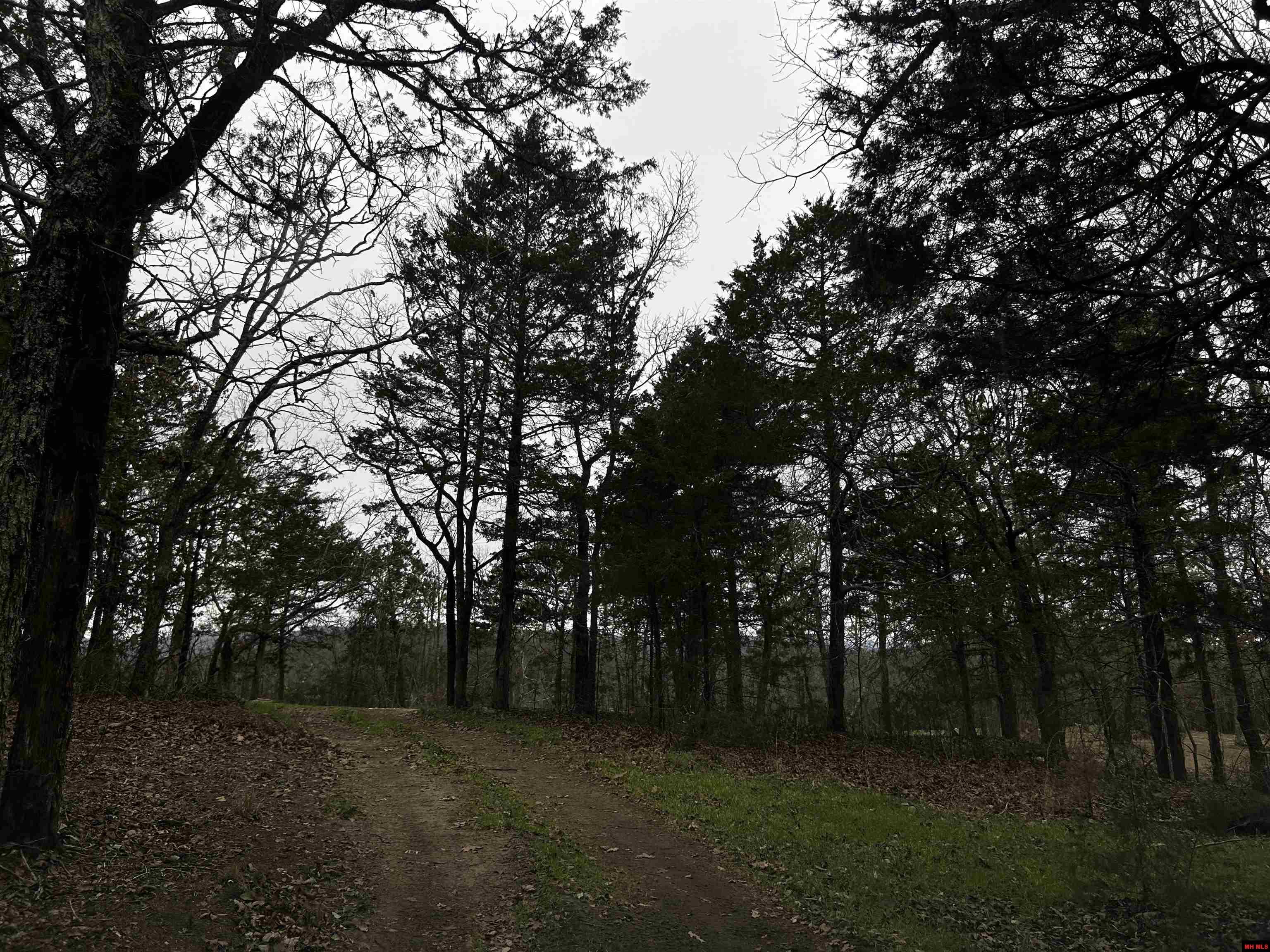 6895 JUMBO ROAD Melbourne, AR