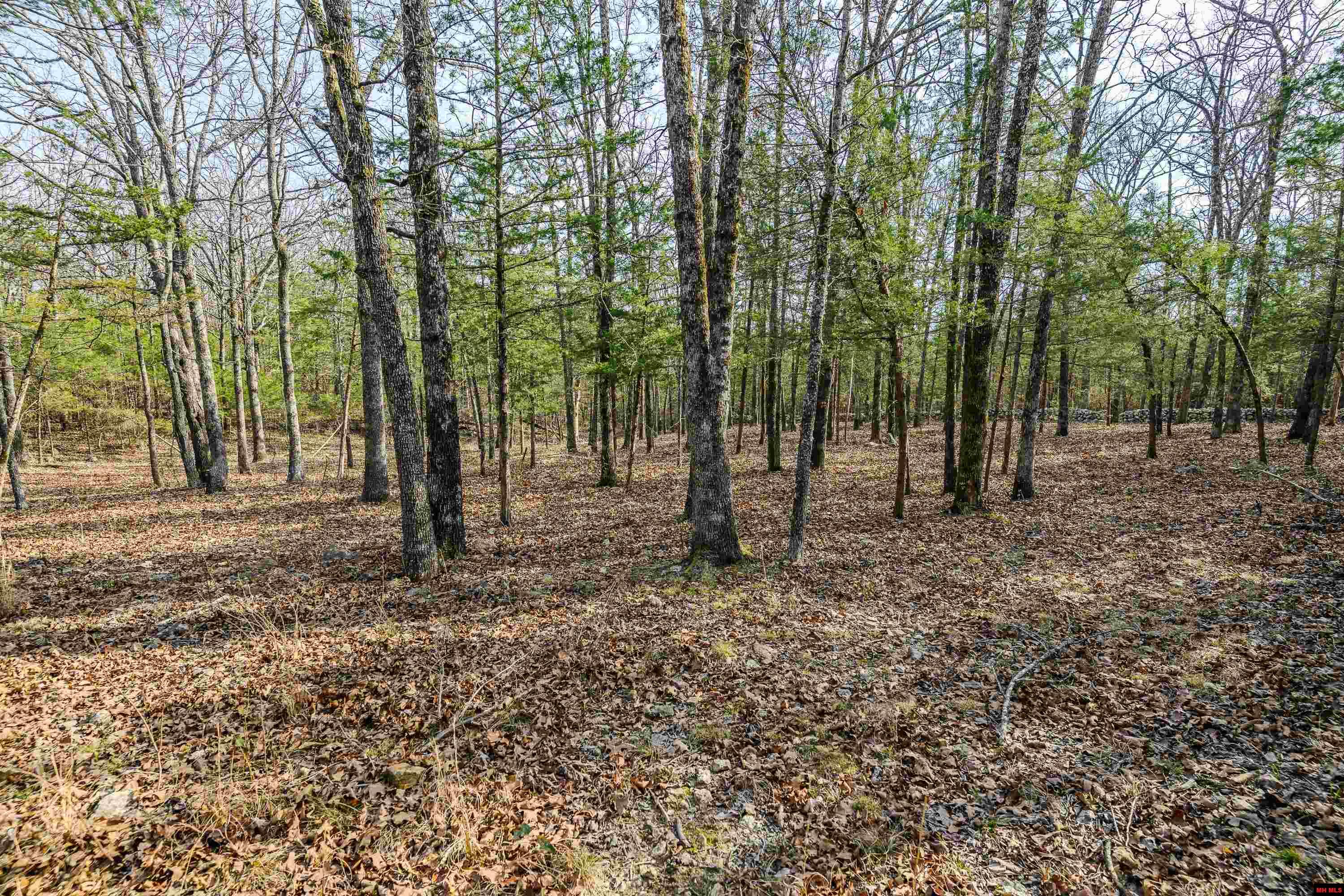 857 MC 7033 Flippin, AR