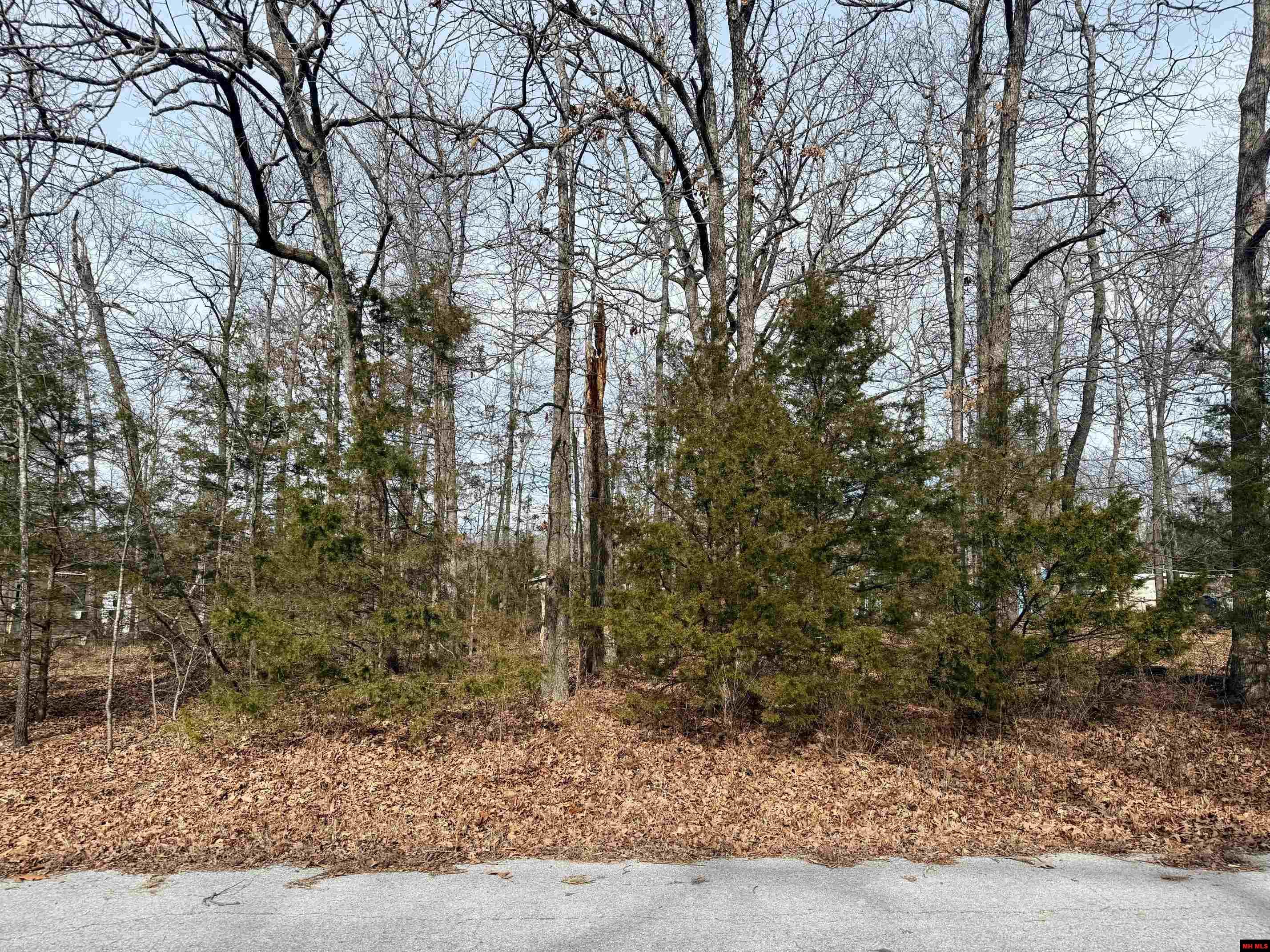 502 WALNUT AVENUE Bull Shoals, AR