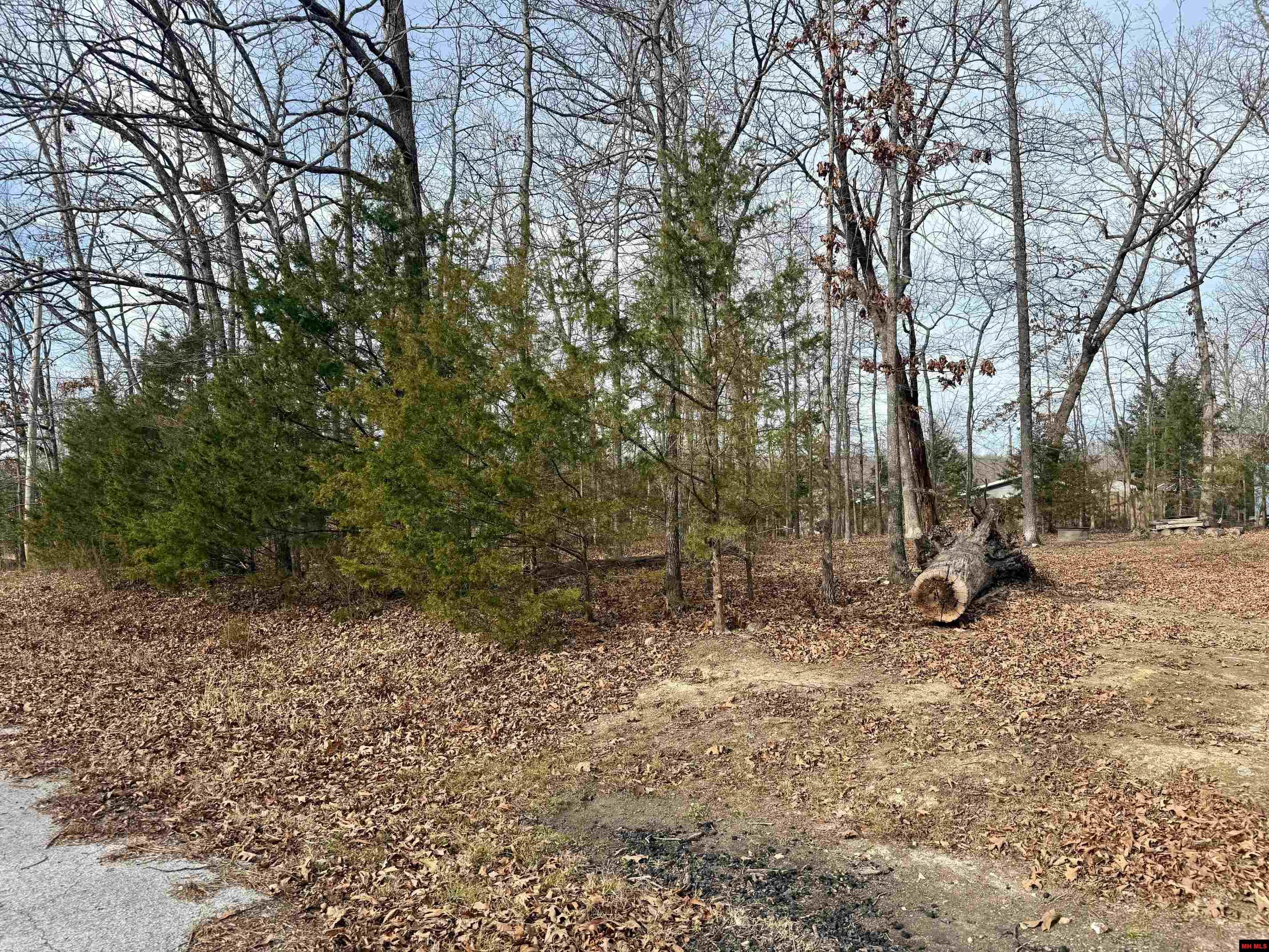 502 WALNUT AVENUE Bull Shoals, AR