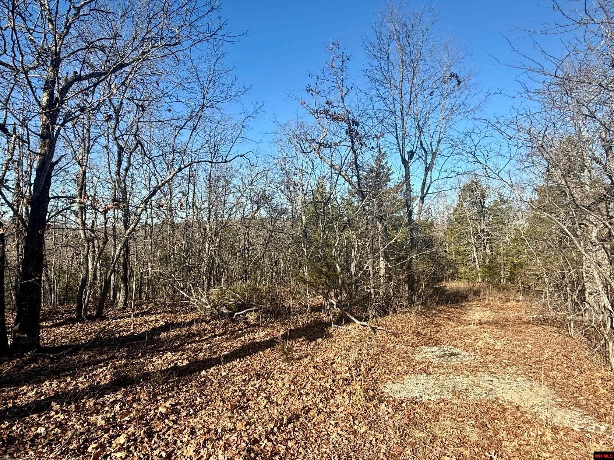 251 Cold Mountain Terrace