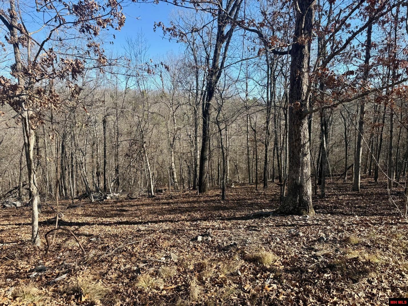 251 Cold Mountain Terrace