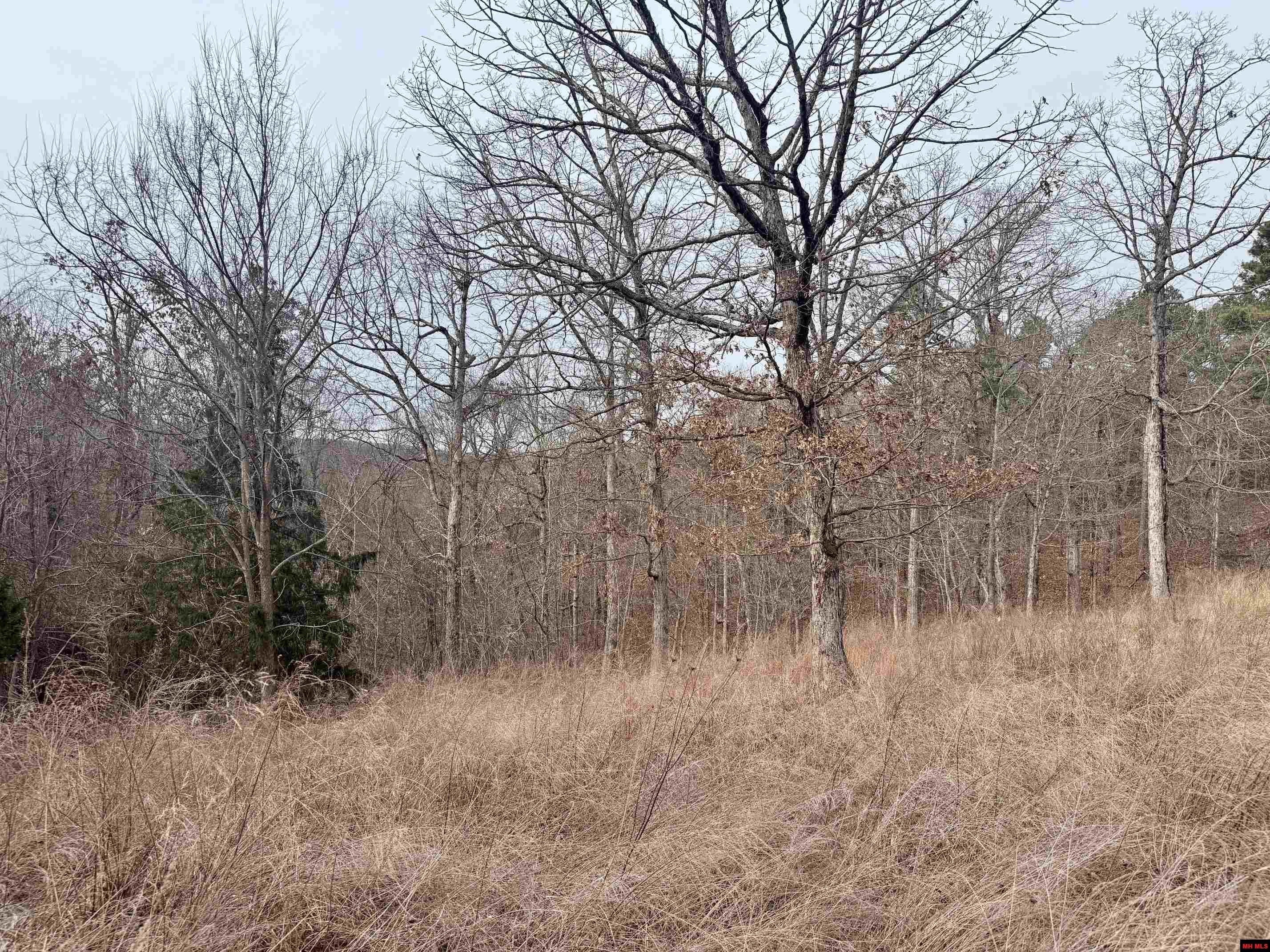 251 Cold Mountain Terrace