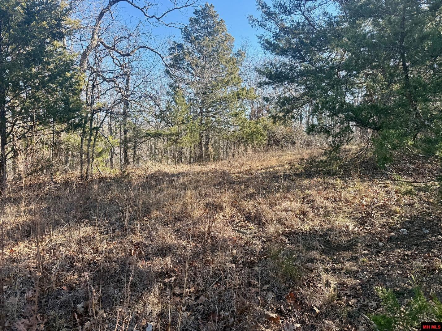 251 Cold Mountain Terrace