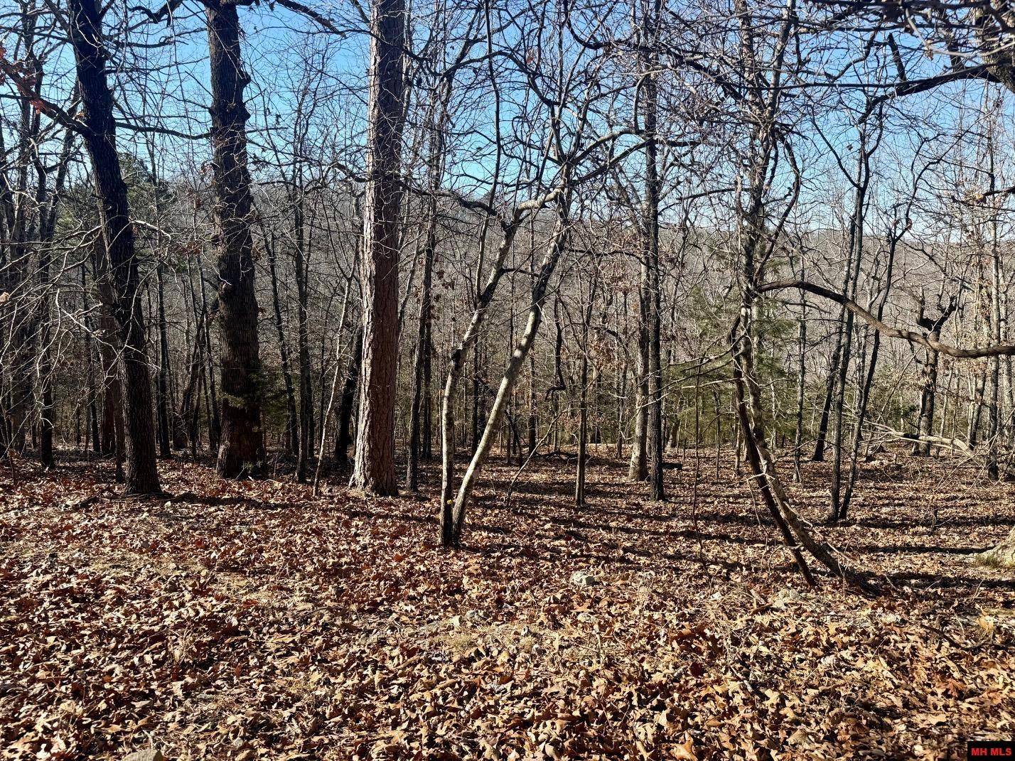 251 Cold Mountain Terrace