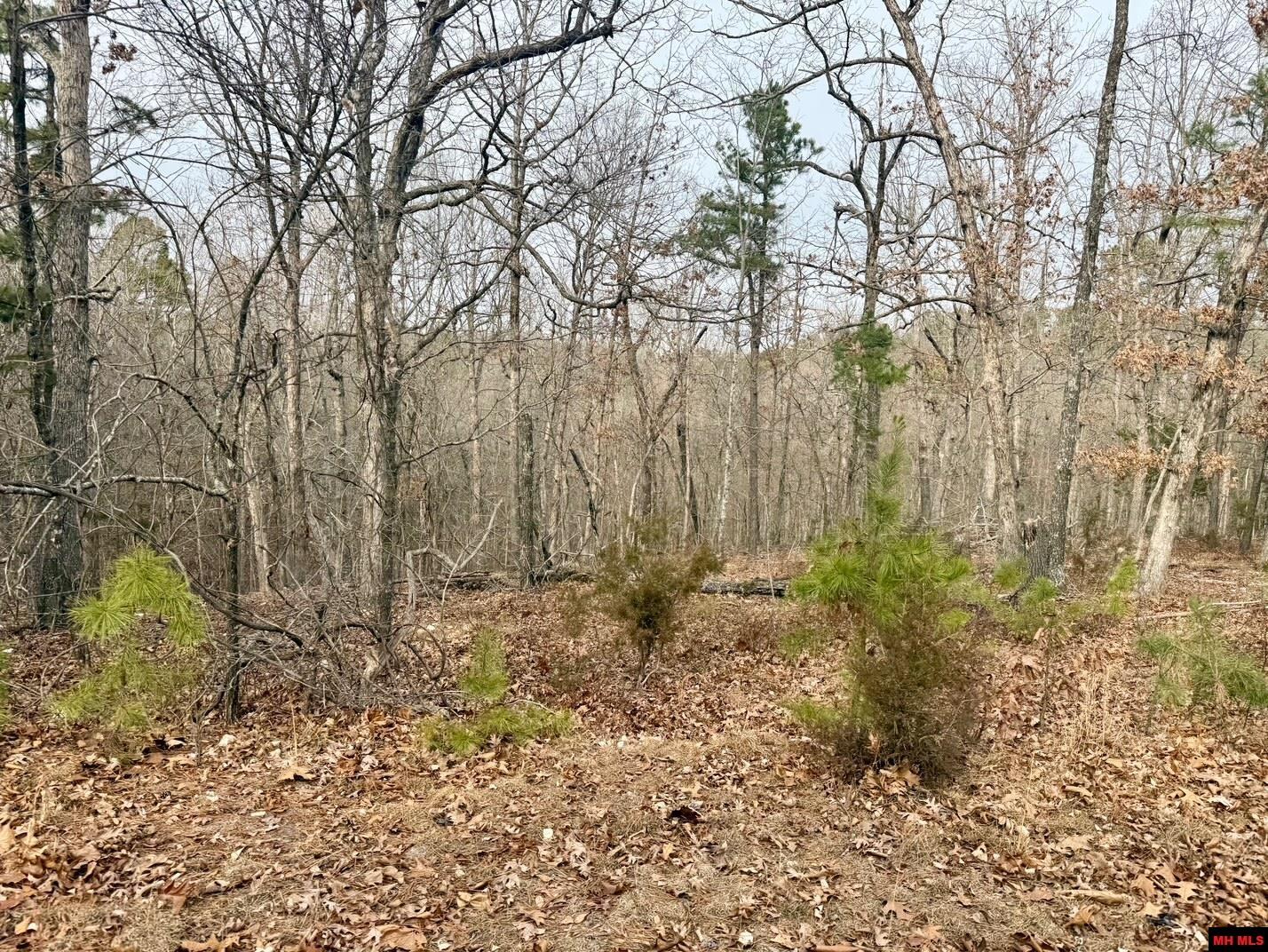 251 Cold Mountain Terrace