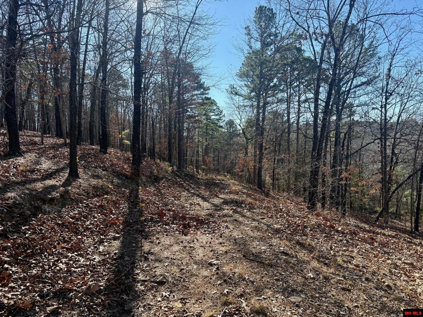 251 Cold Mountain Terrace