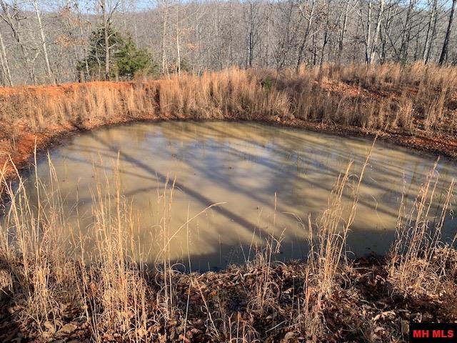 769 FRY ROAD Harriet, AR