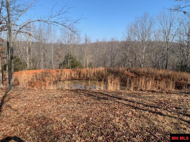 769 FRY ROAD Harriet, AR