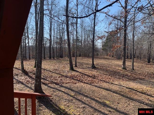 769 FRY ROAD Harriet, AR