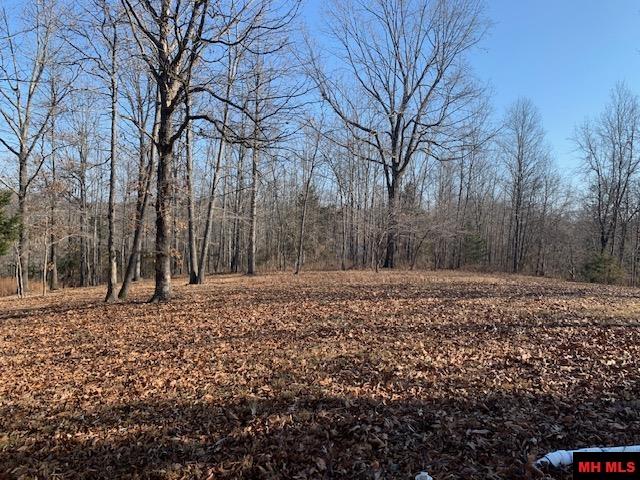 769 FRY ROAD Harriet, AR