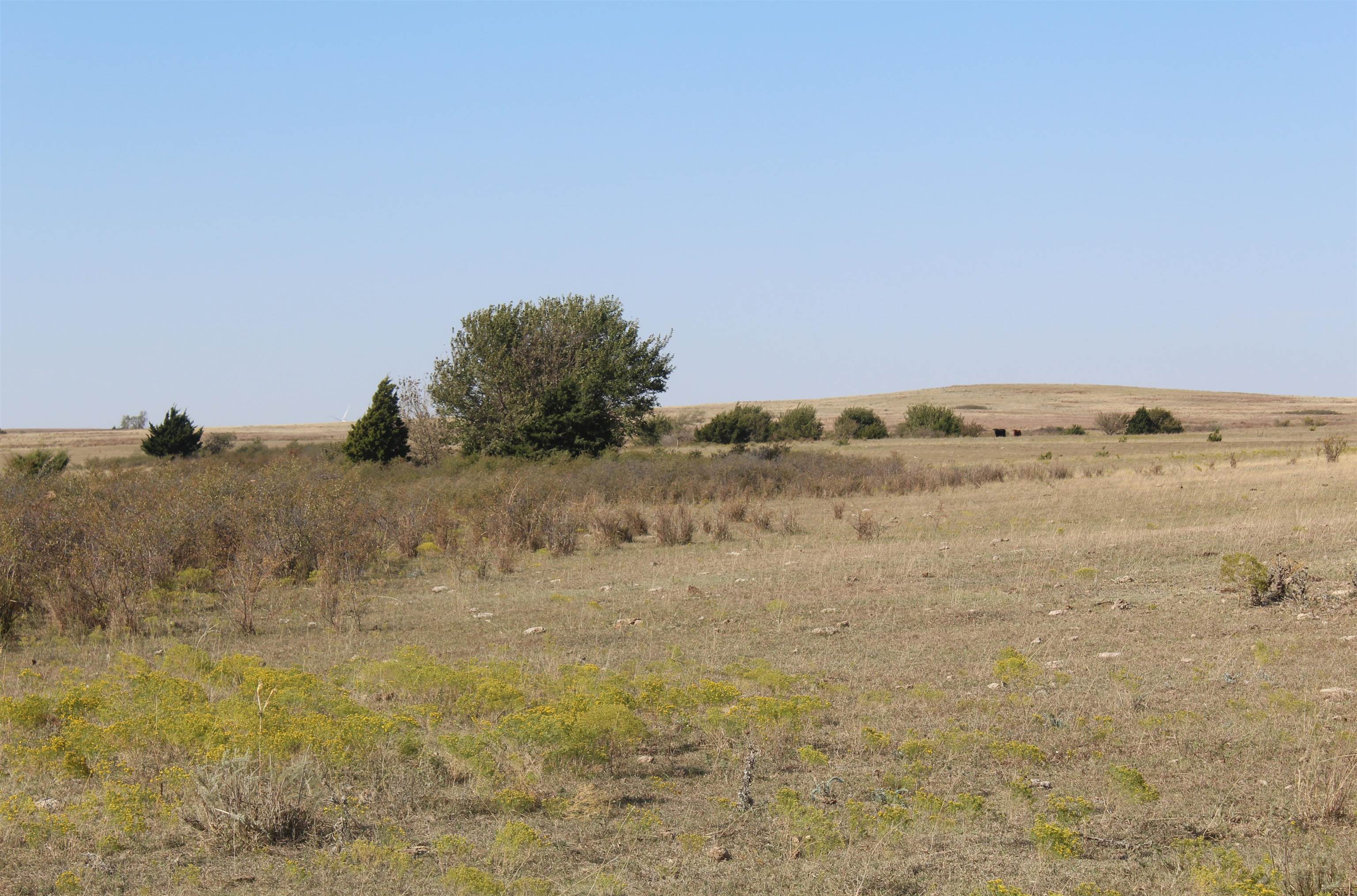 E COUNTY ROAD 35, FT. SUPPLY, OK 73841 Smith & Co Auction and Realty