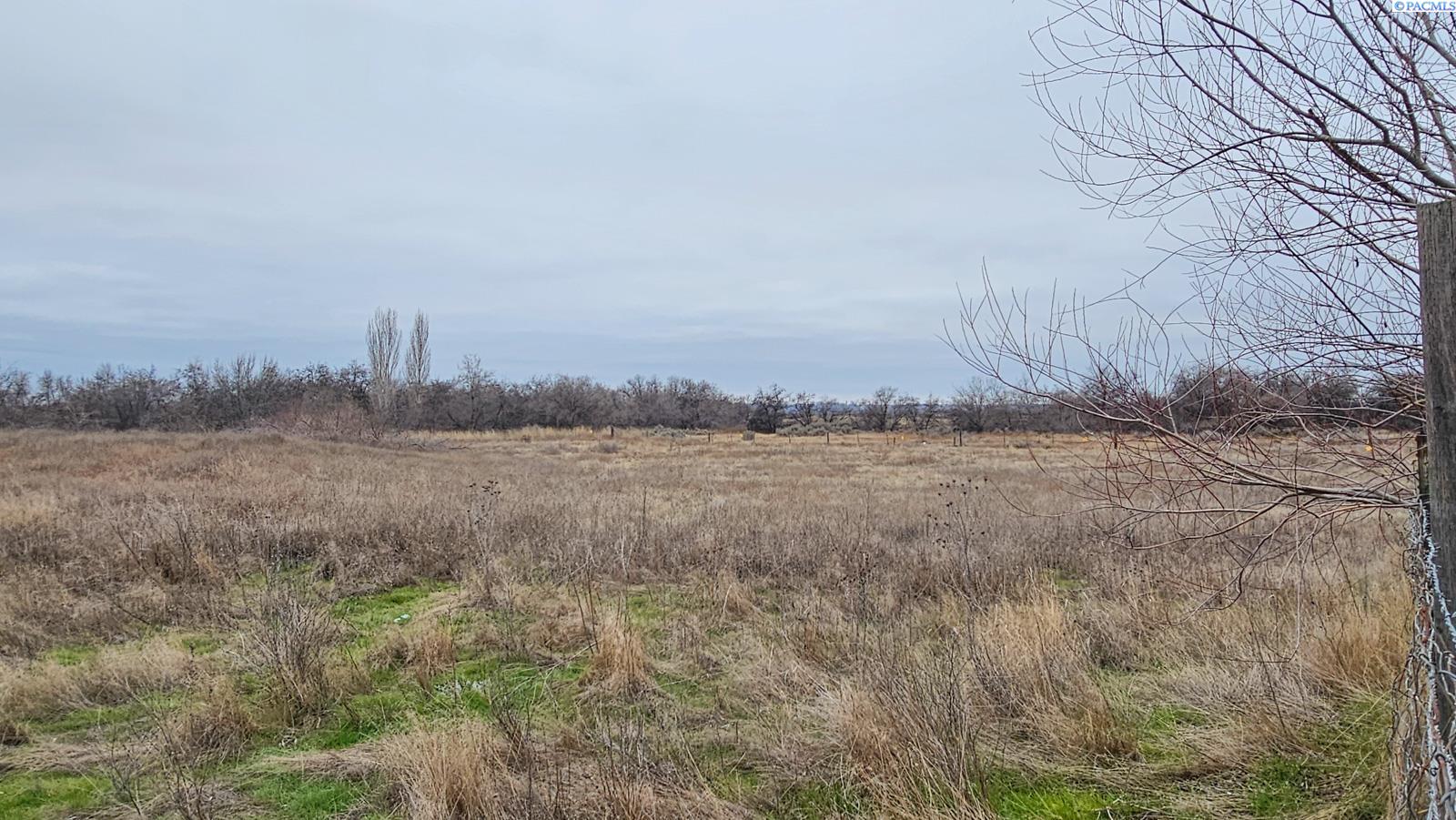 Homes for sale in Connell, WA | 4331 Hendricks Road, Connell, WA 99326 | MLS# 290033