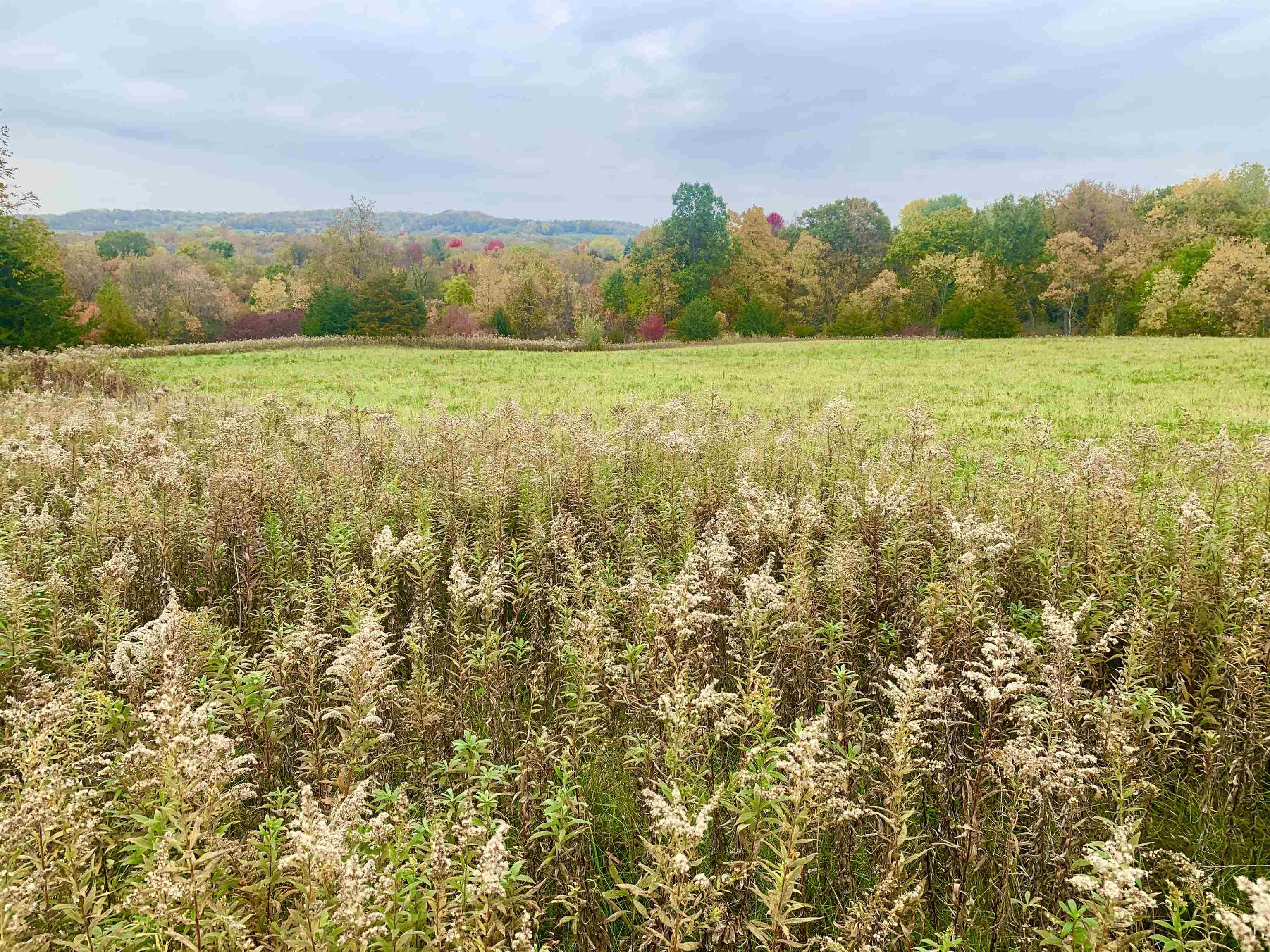 For Sale 1 Tanager Lane, Galena, IL 61036 1.22 Acres 50,000, MLS