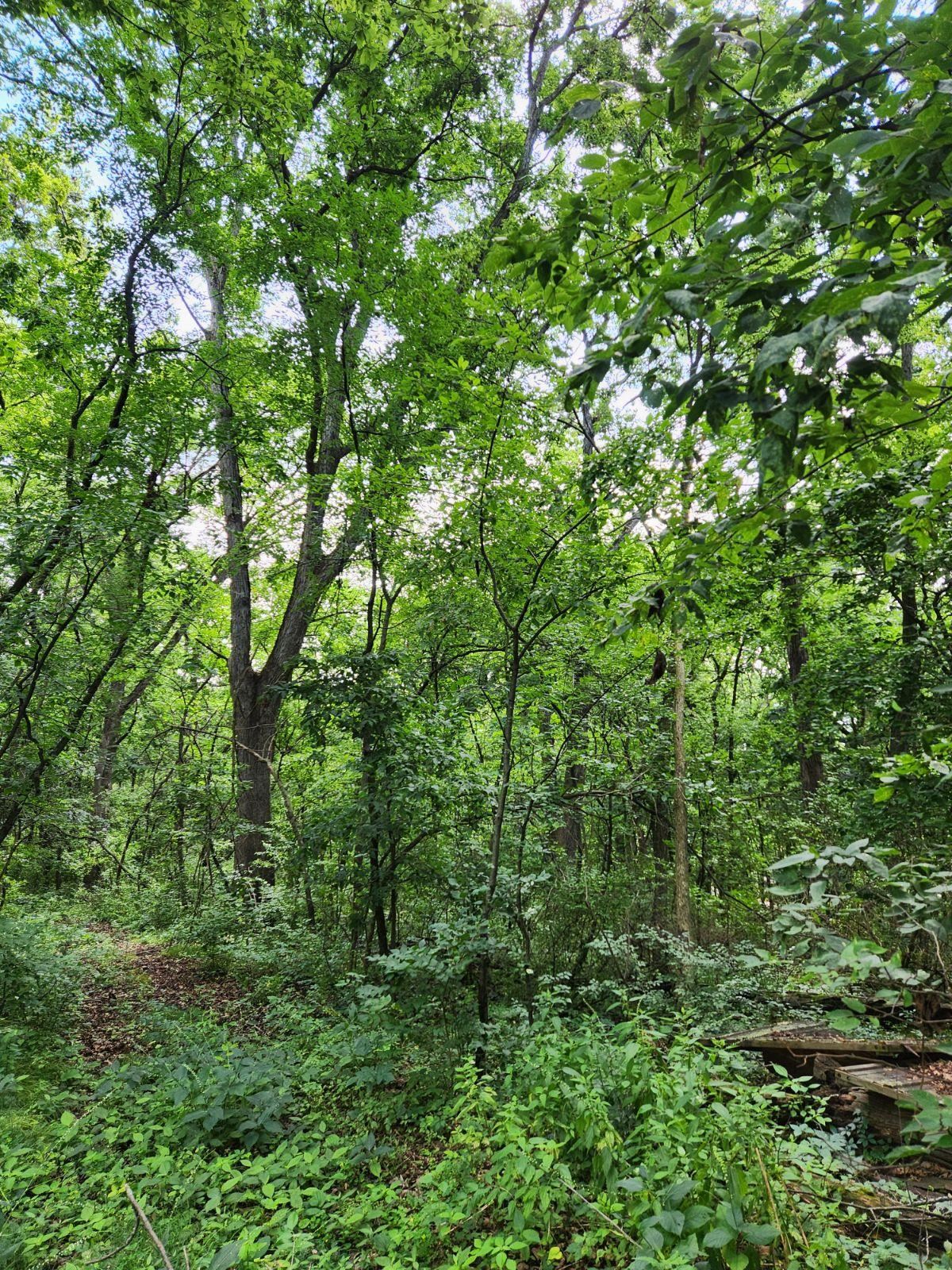 0000 E TOWNLINE ROAD, LEAF RIVER, IL 61047