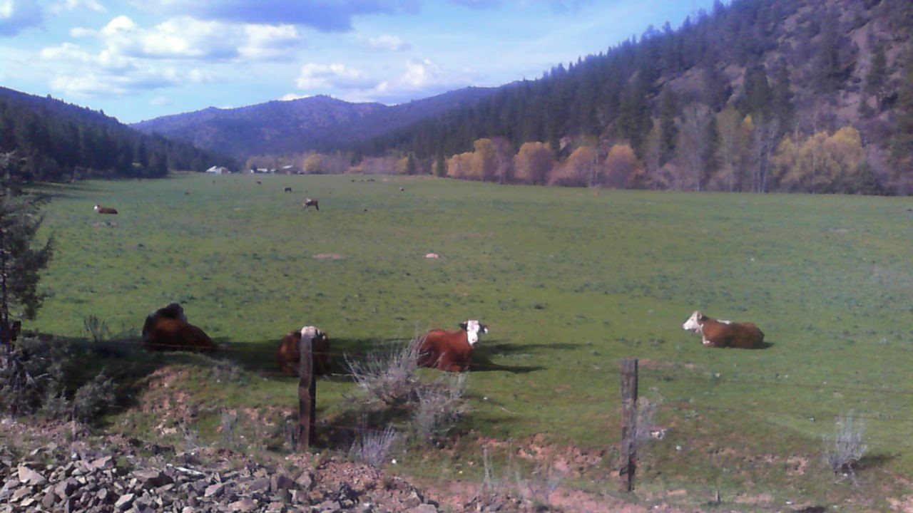 NSA E Moffett Creek RD