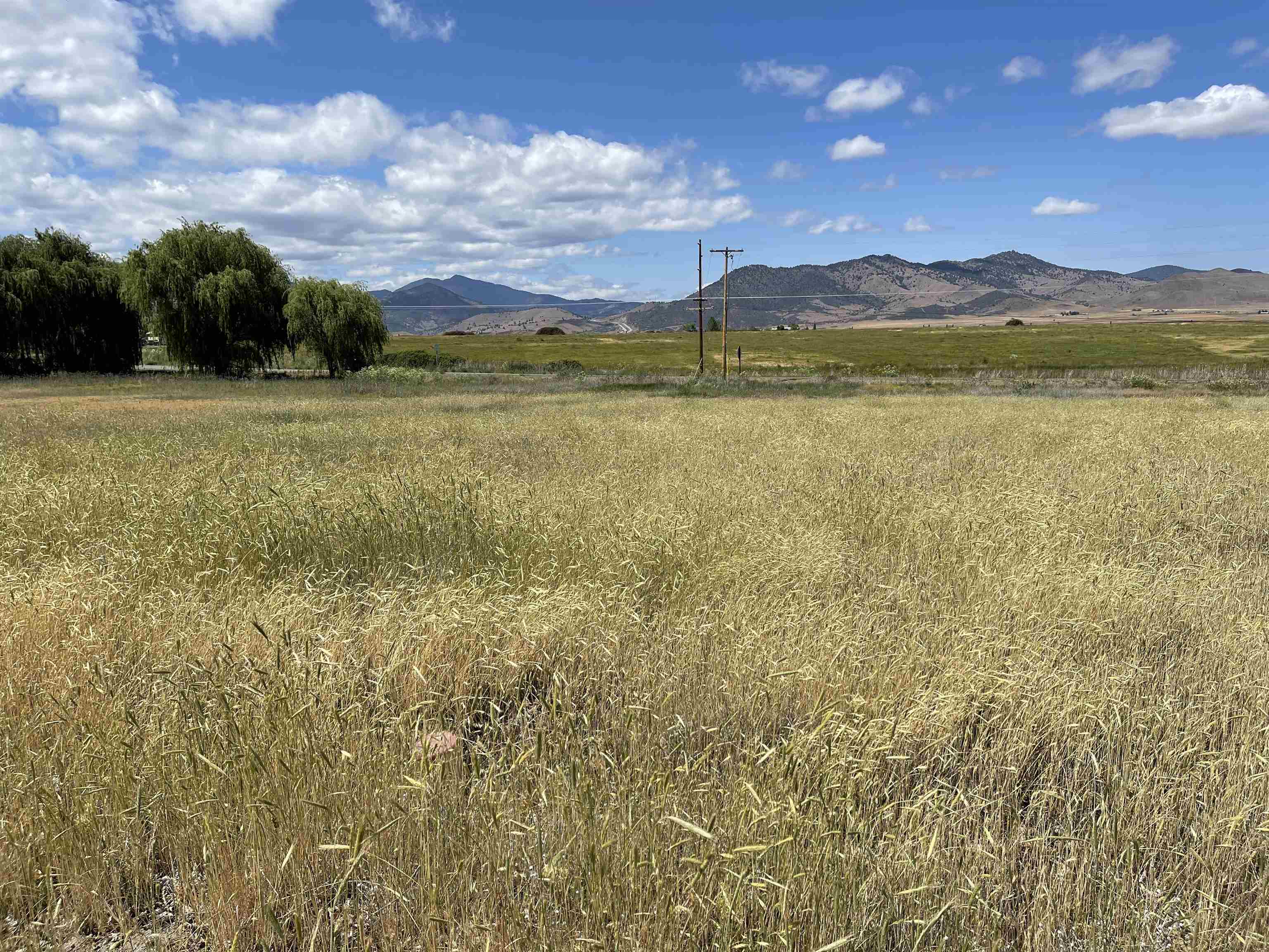 Lot 34 Watson Ct
