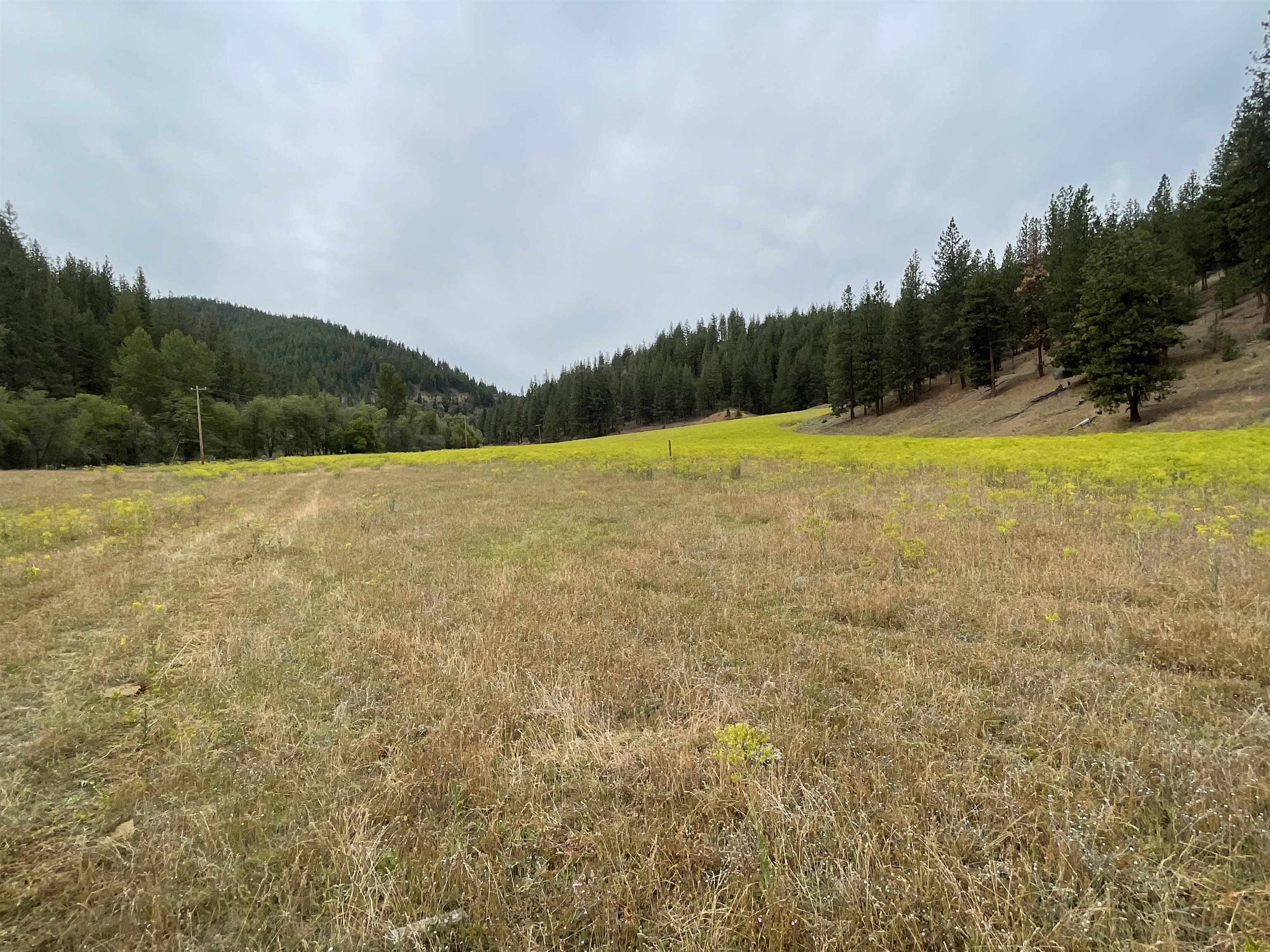 4 Sisson Gulch