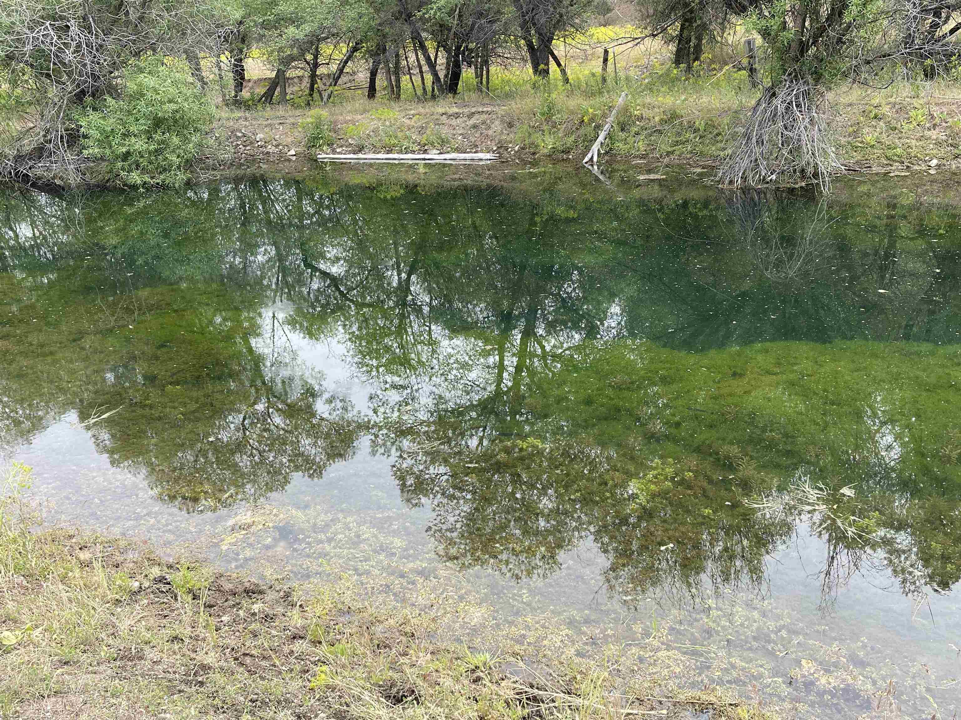 4 Sisson Gulch