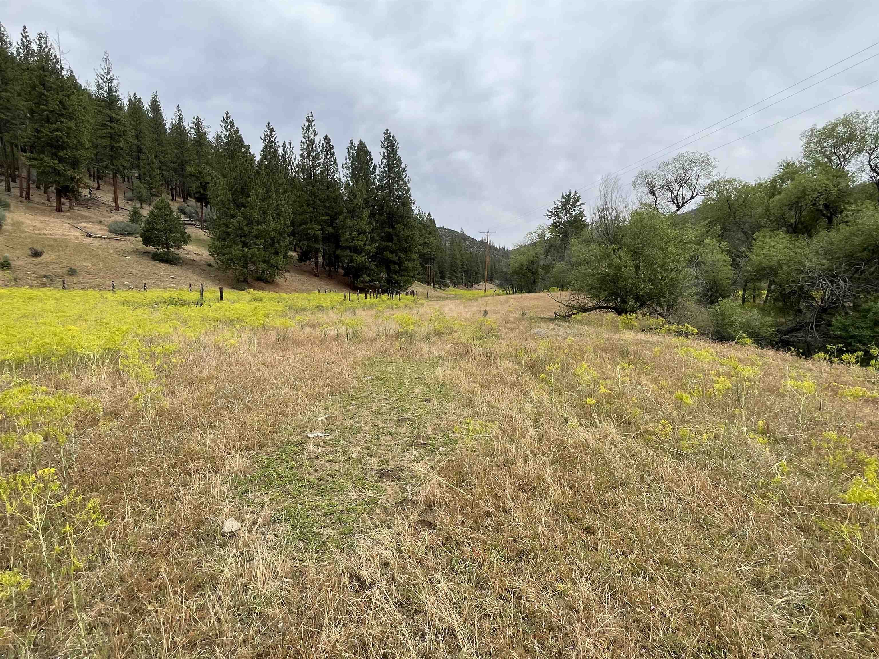 4 Sisson Gulch