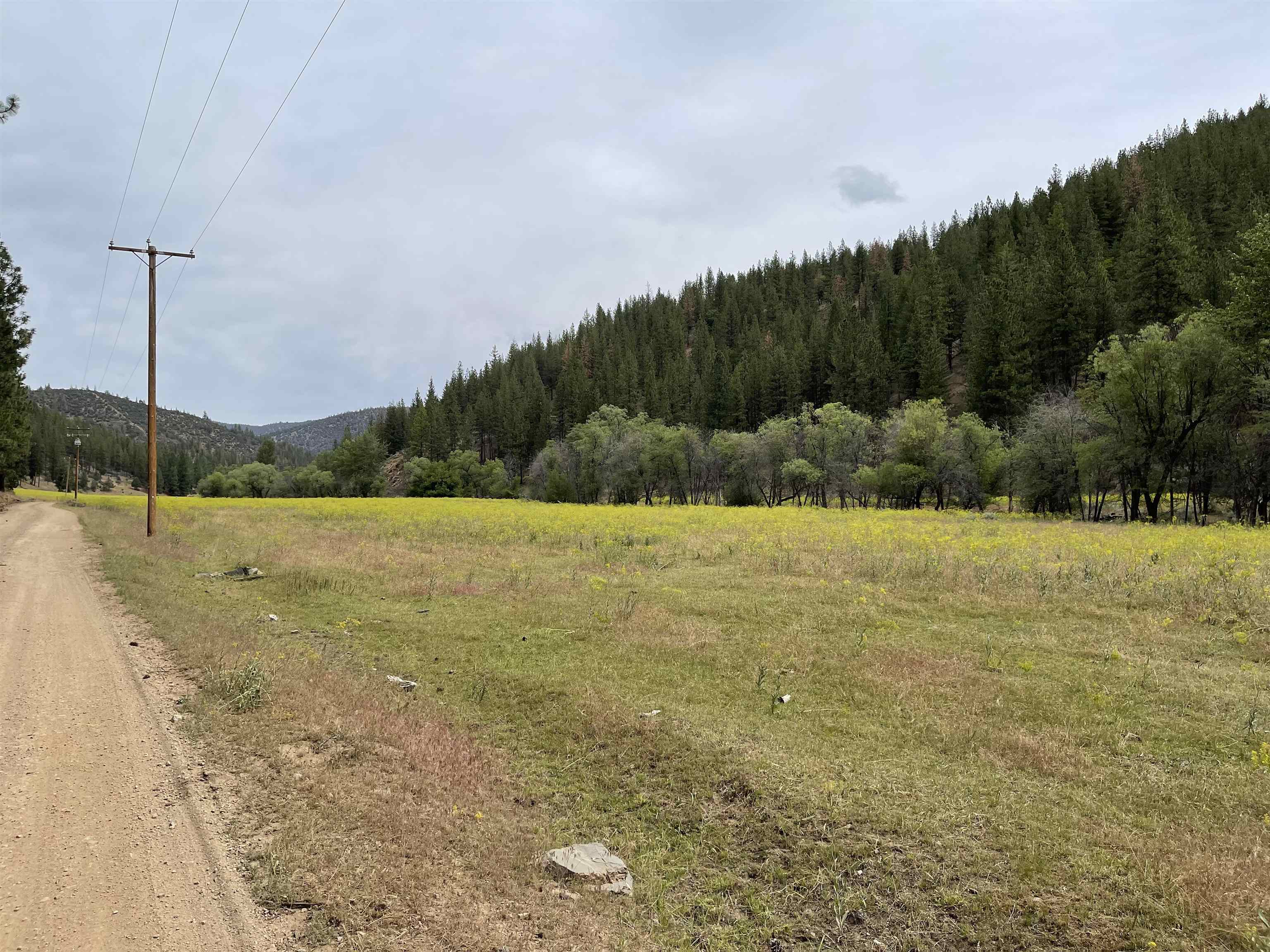 4 Sisson Gulch
