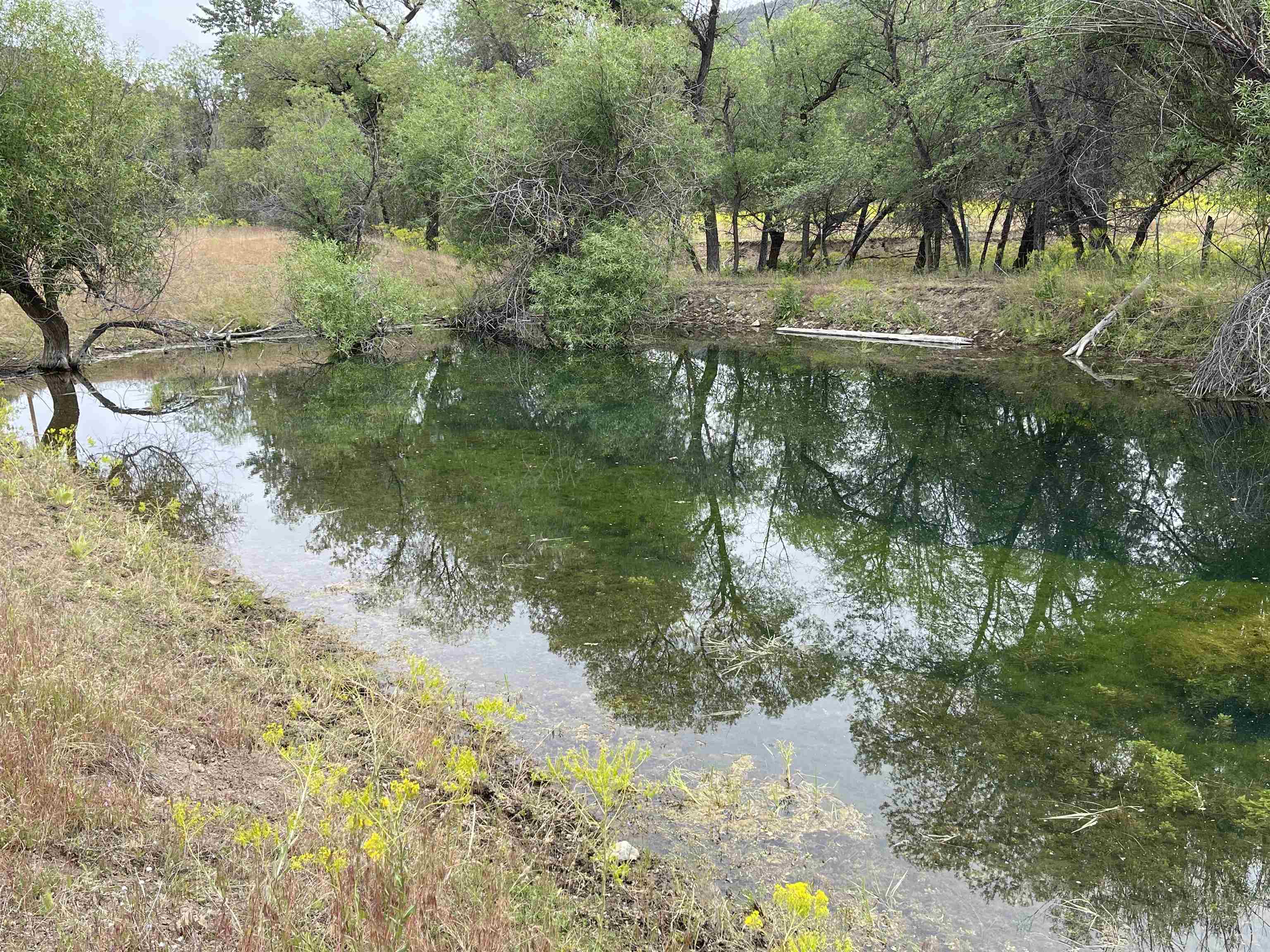 4 Sisson Gulch