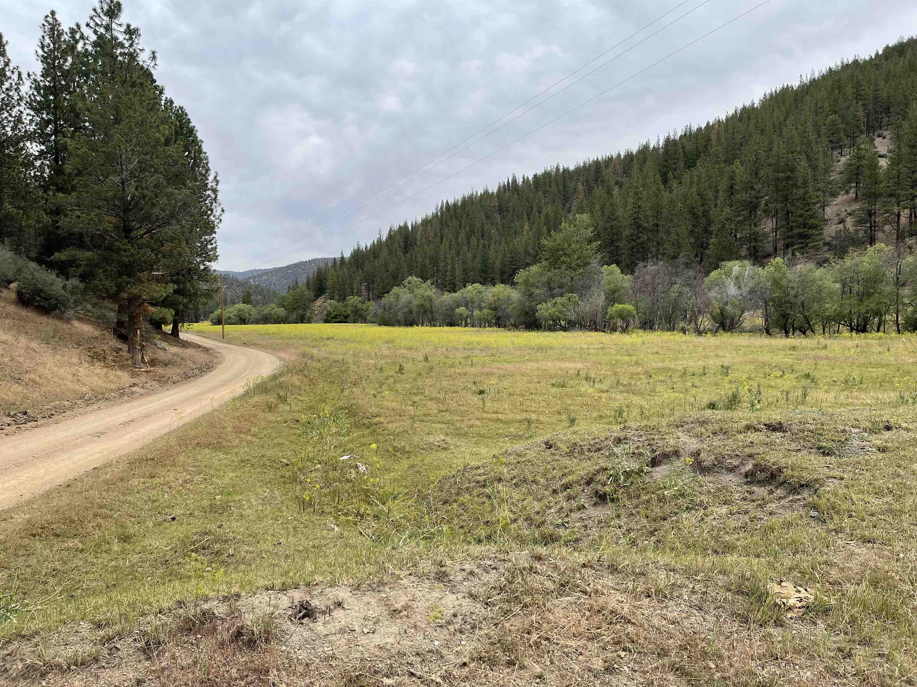 4 Sisson Gulch