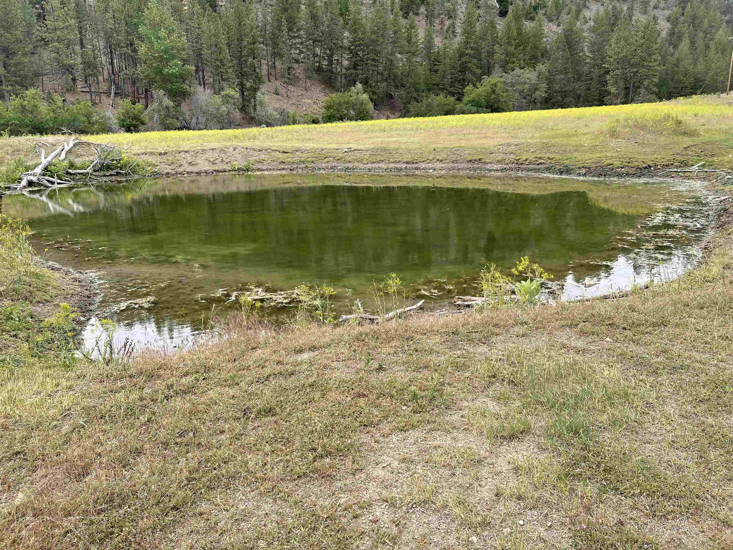 4 Sisson Gulch