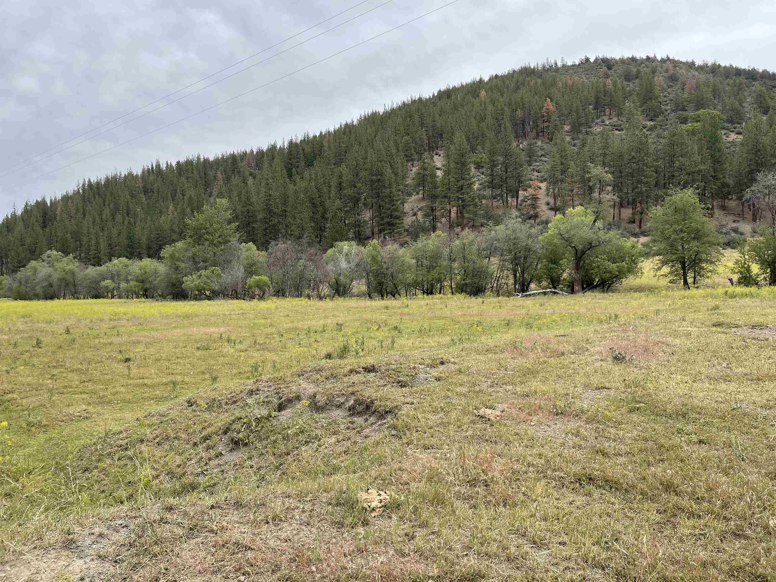4 Sisson Gulch