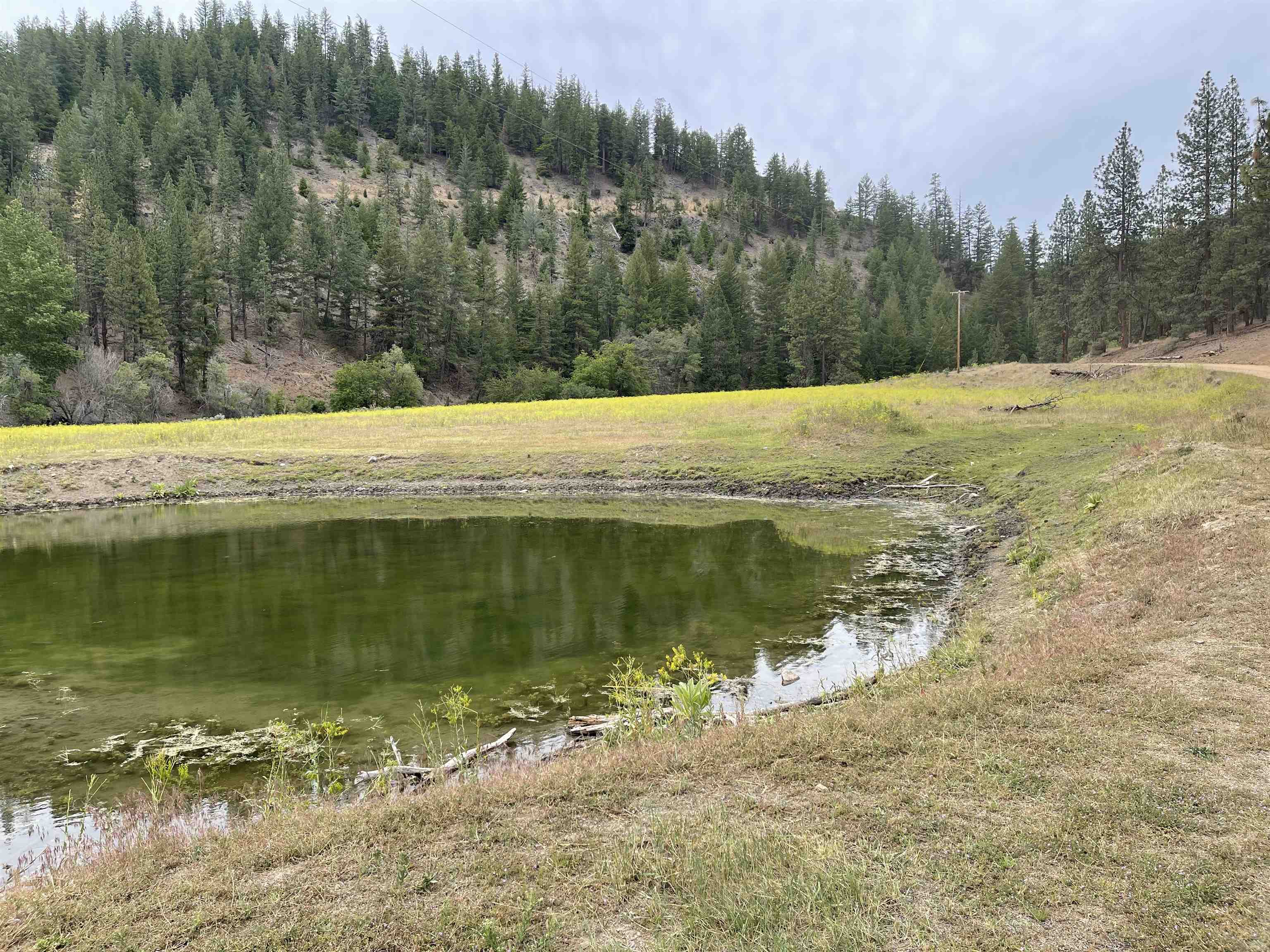 4 Sisson Gulch