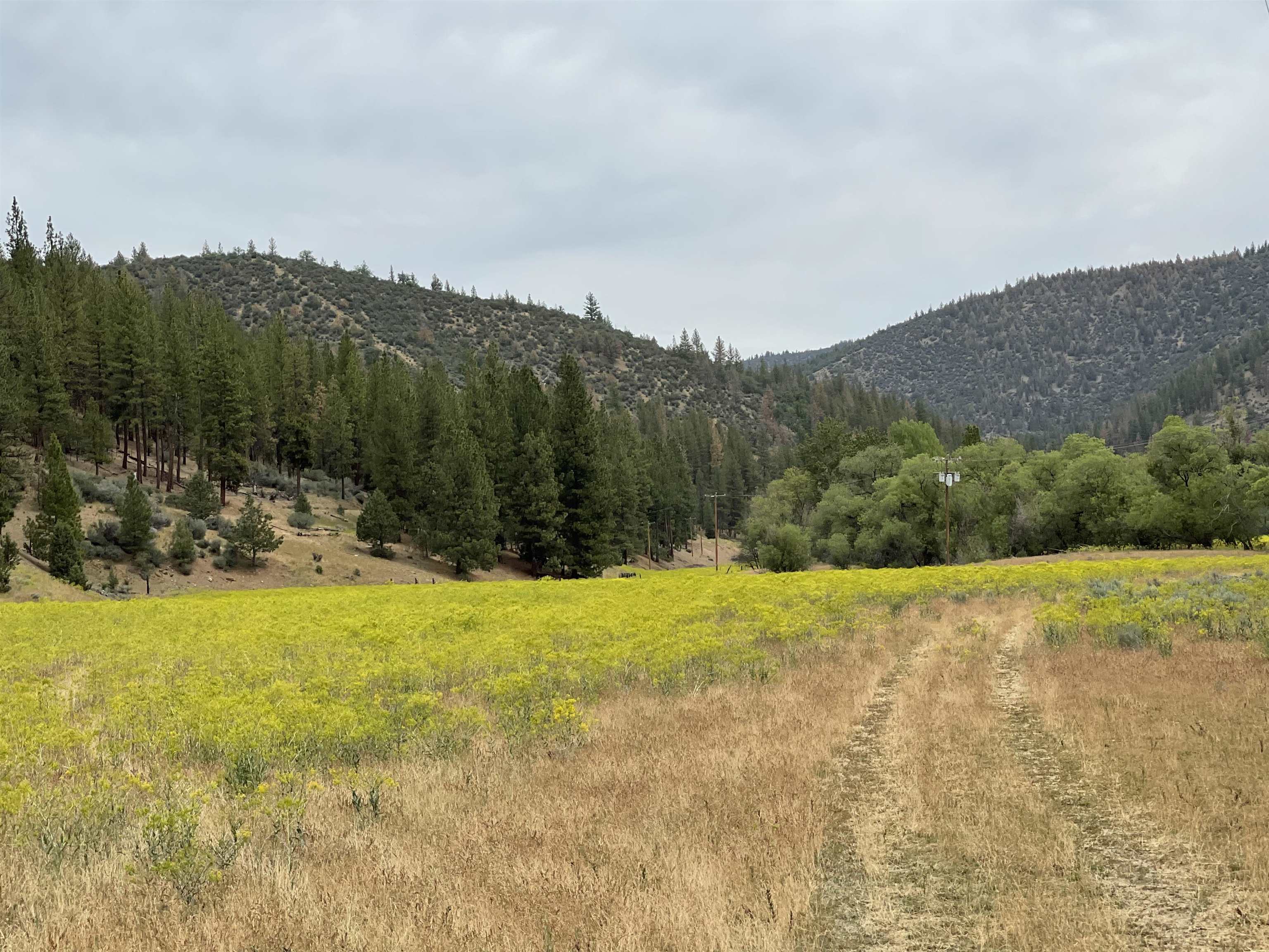 4 Sisson Gulch