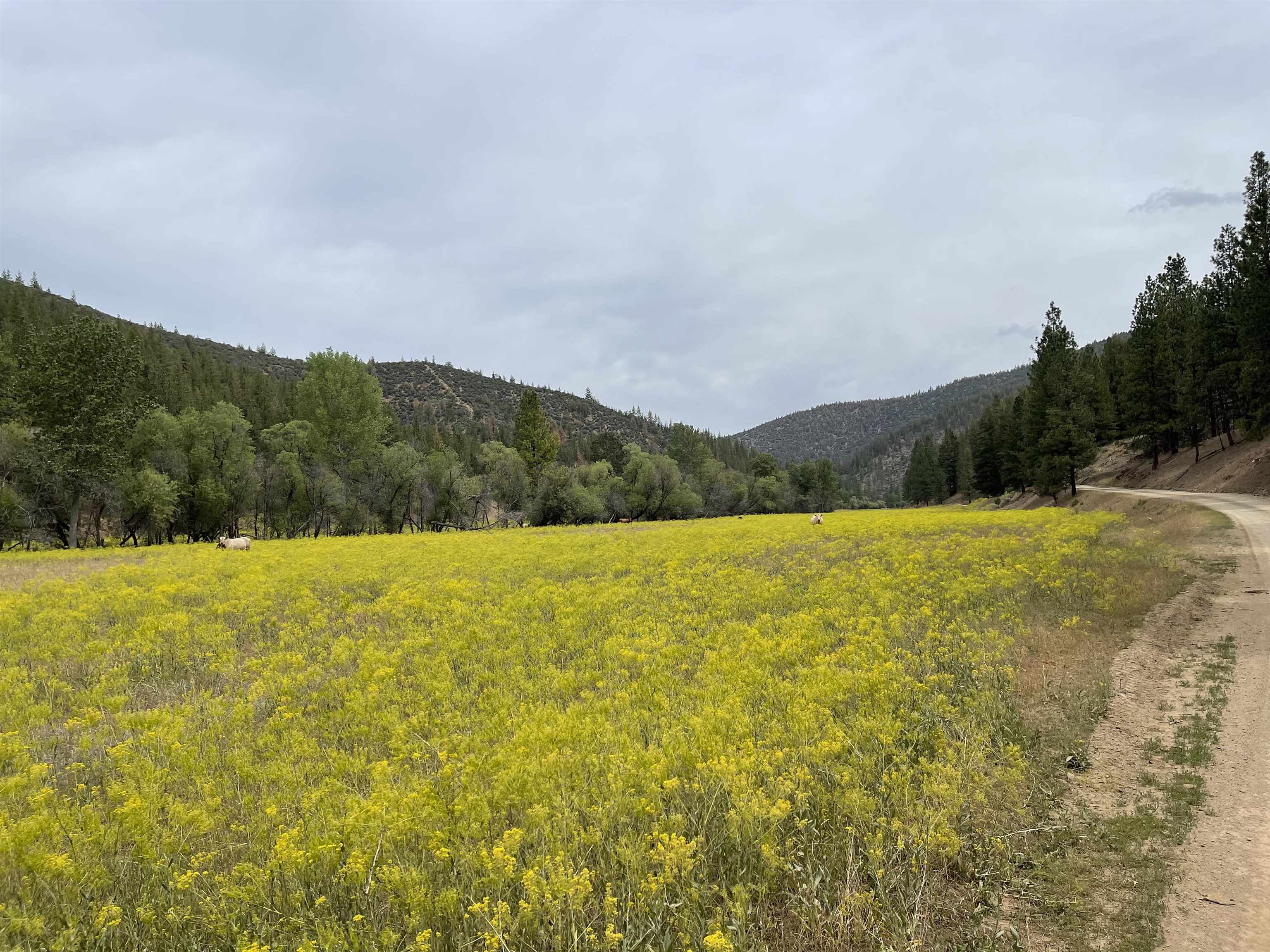 3 East Creek