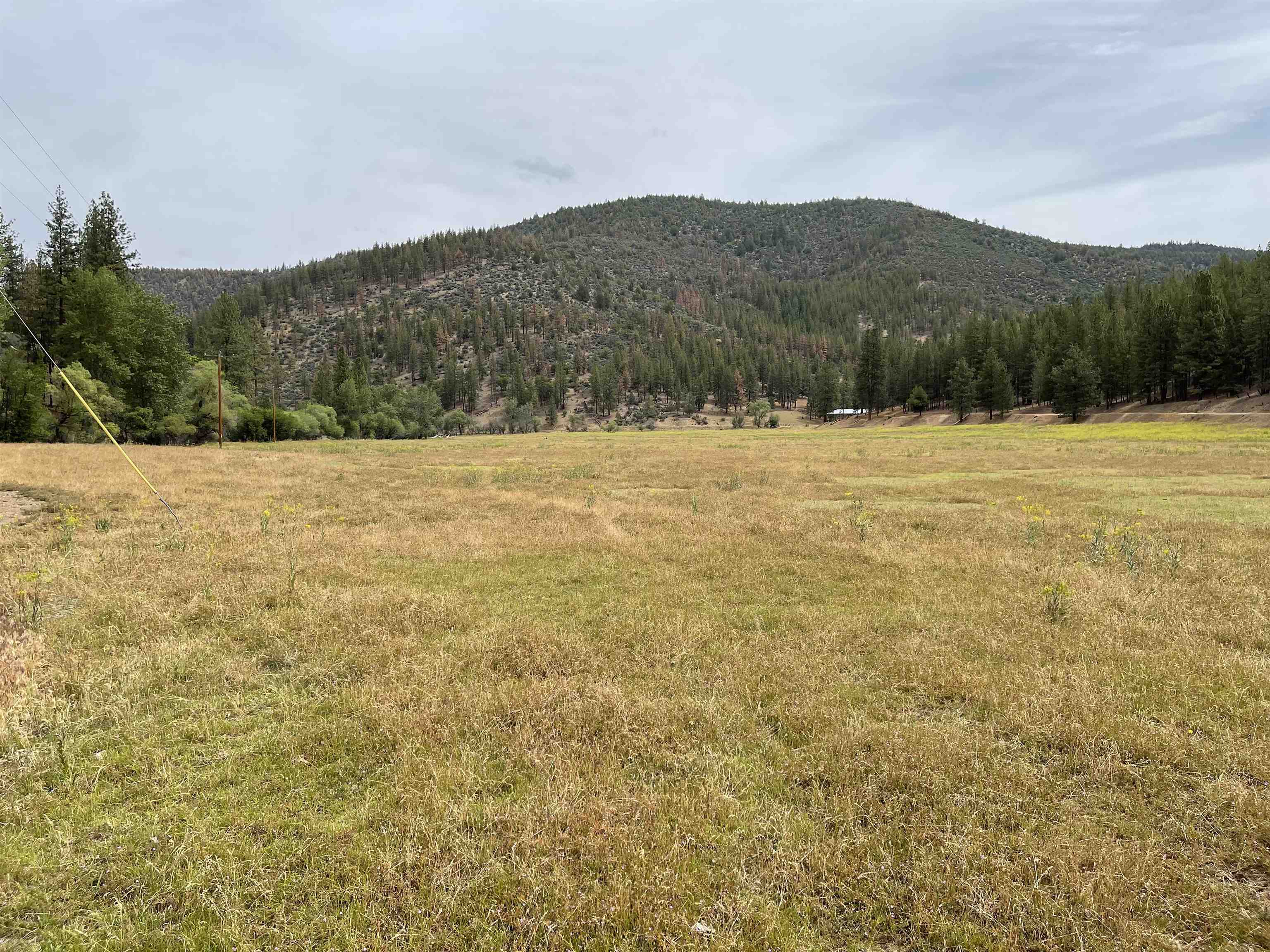 3 East Creek